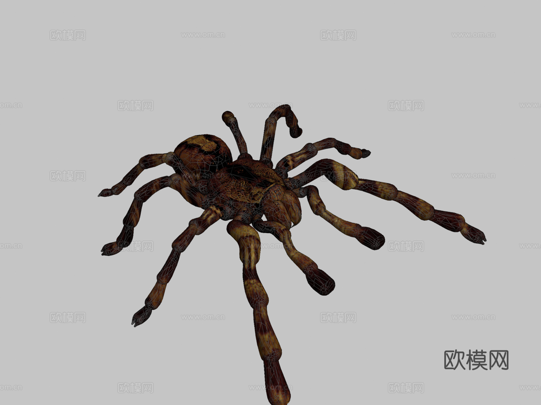 狼蛛su模型下载（渲染图2）