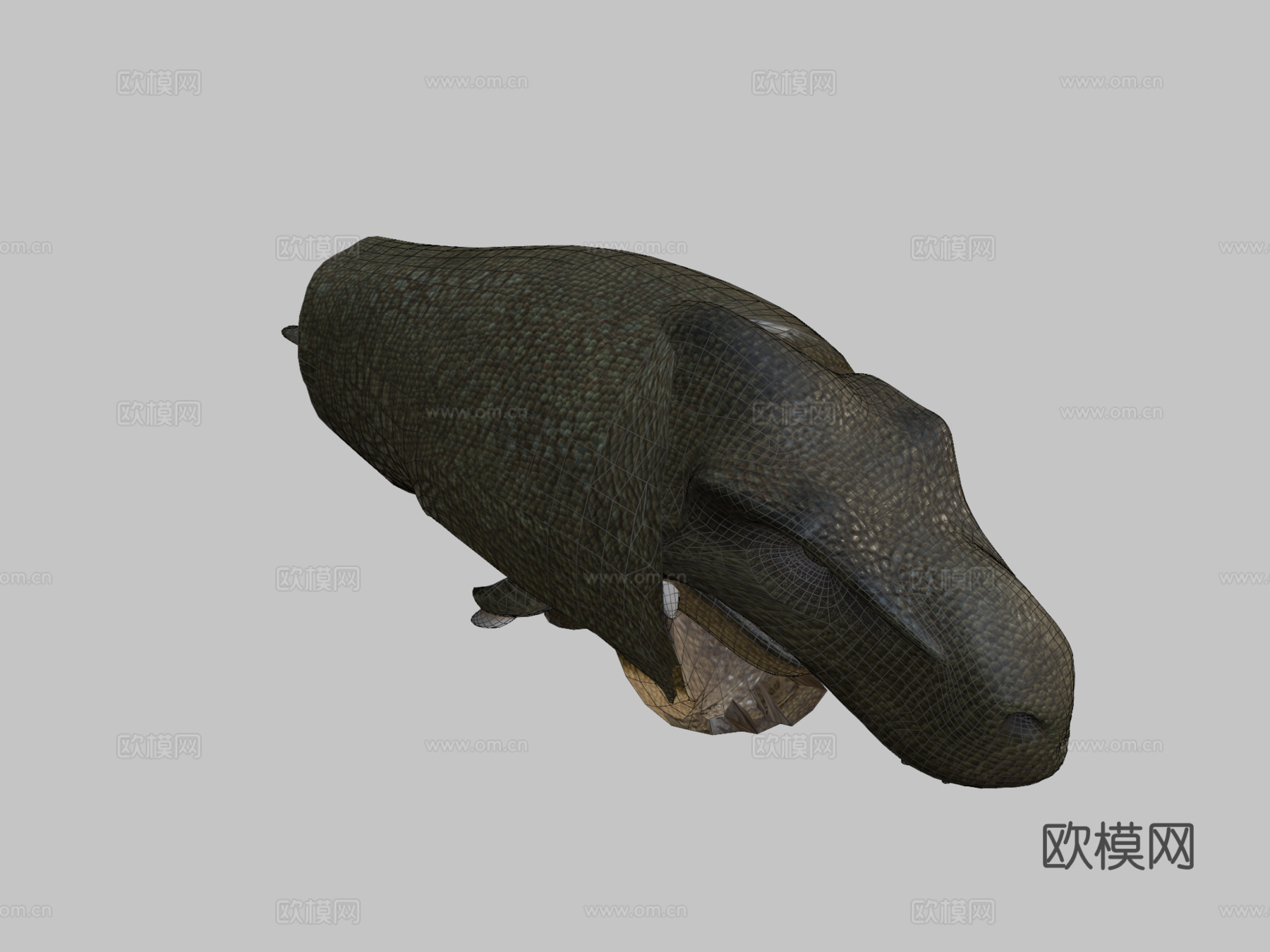 动画霸王龙su模型