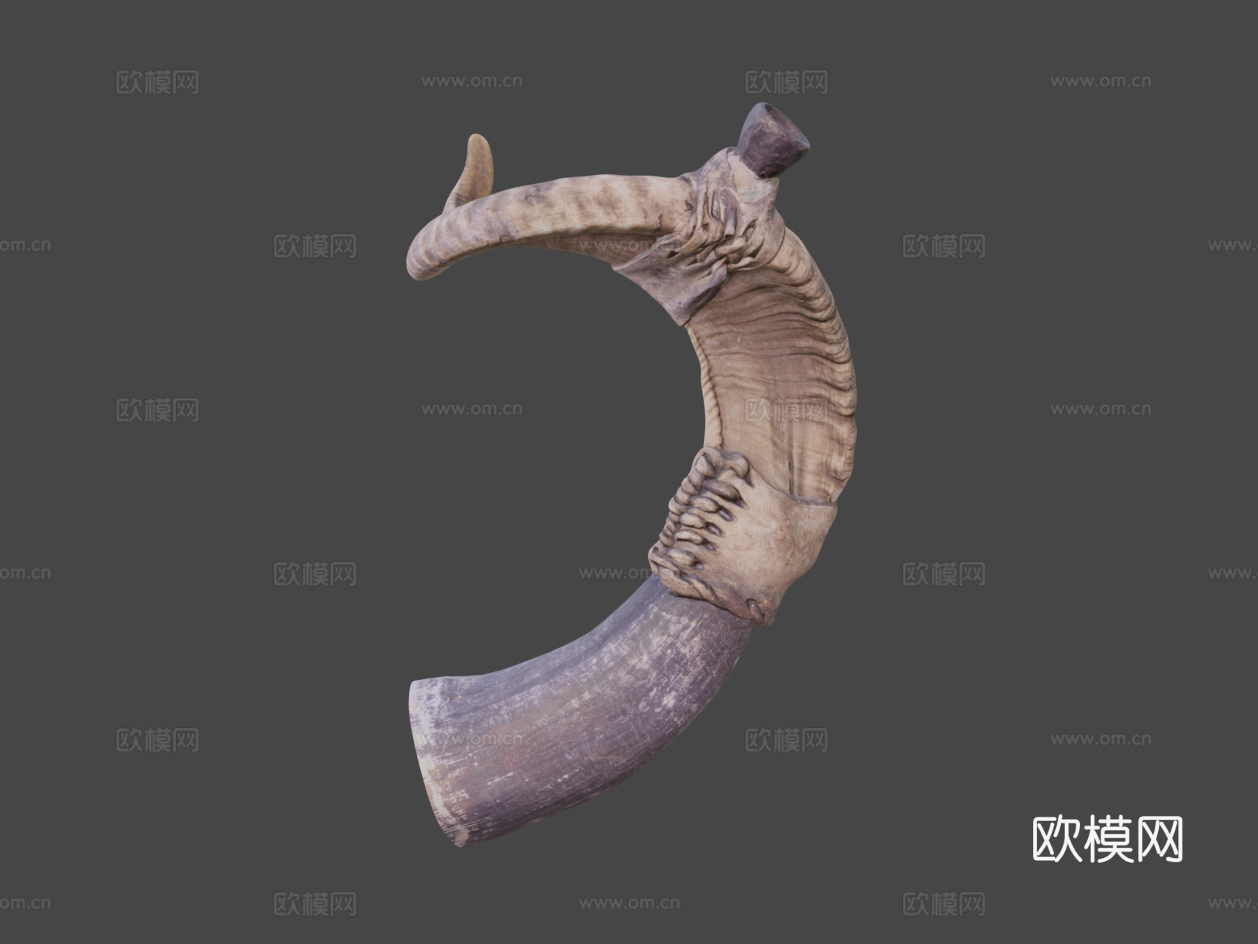 仪式性HUAQRAPUTUTO 17ksu模型下载（渲染图7）