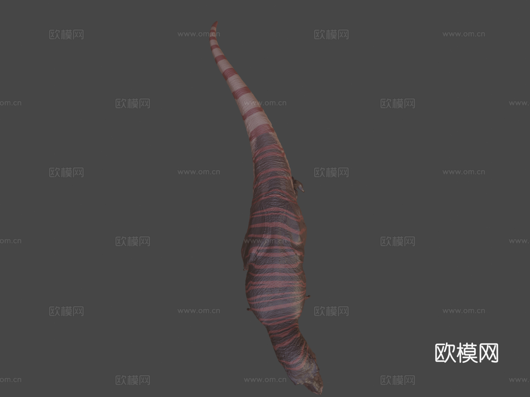 霸王龙DINOATTO版Vitaminimaginationsu模型