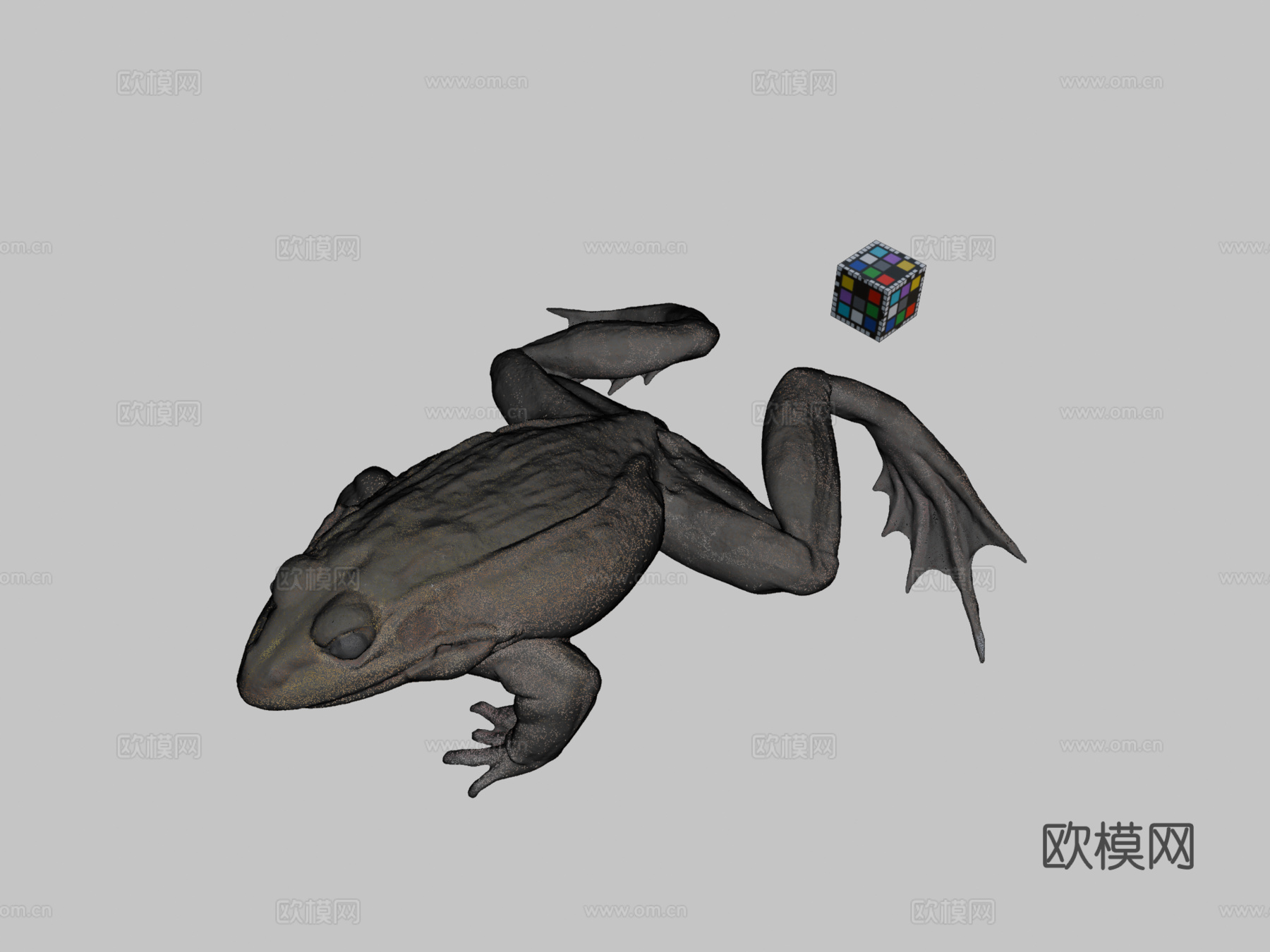 CC0黑斑蛙su模型