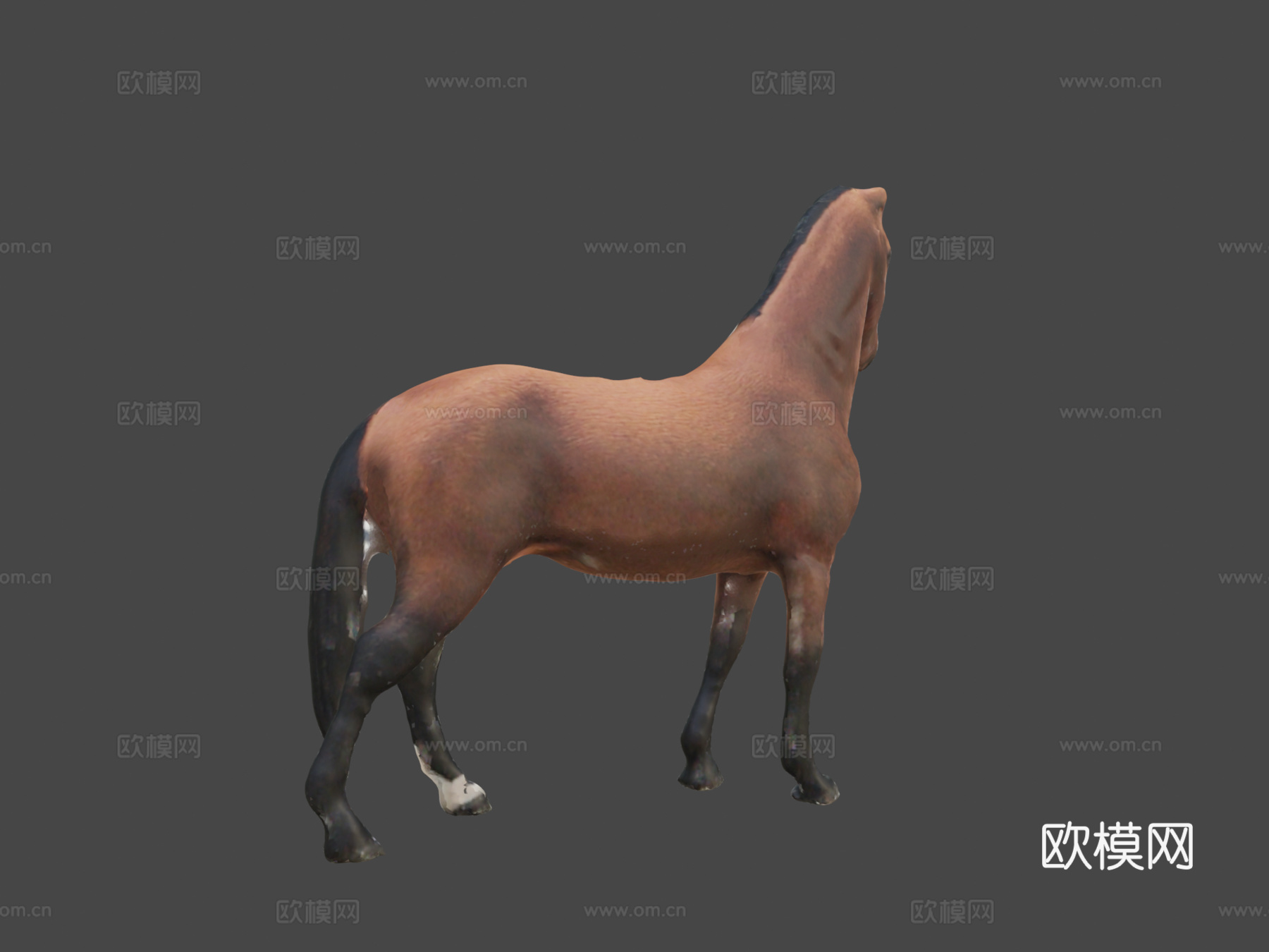 马CG模型su模型