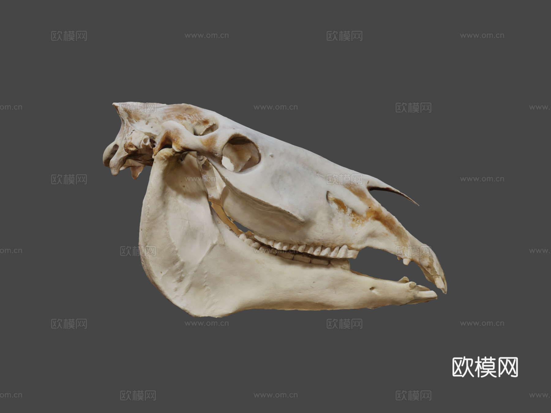 起重机马su模型