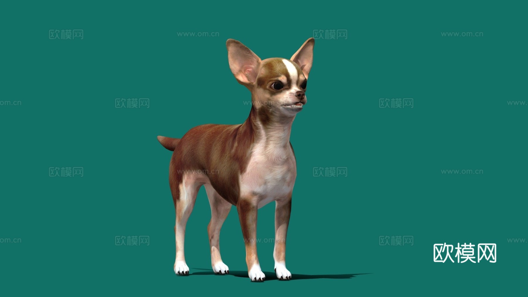 吉娃娃游戏就绪su模型