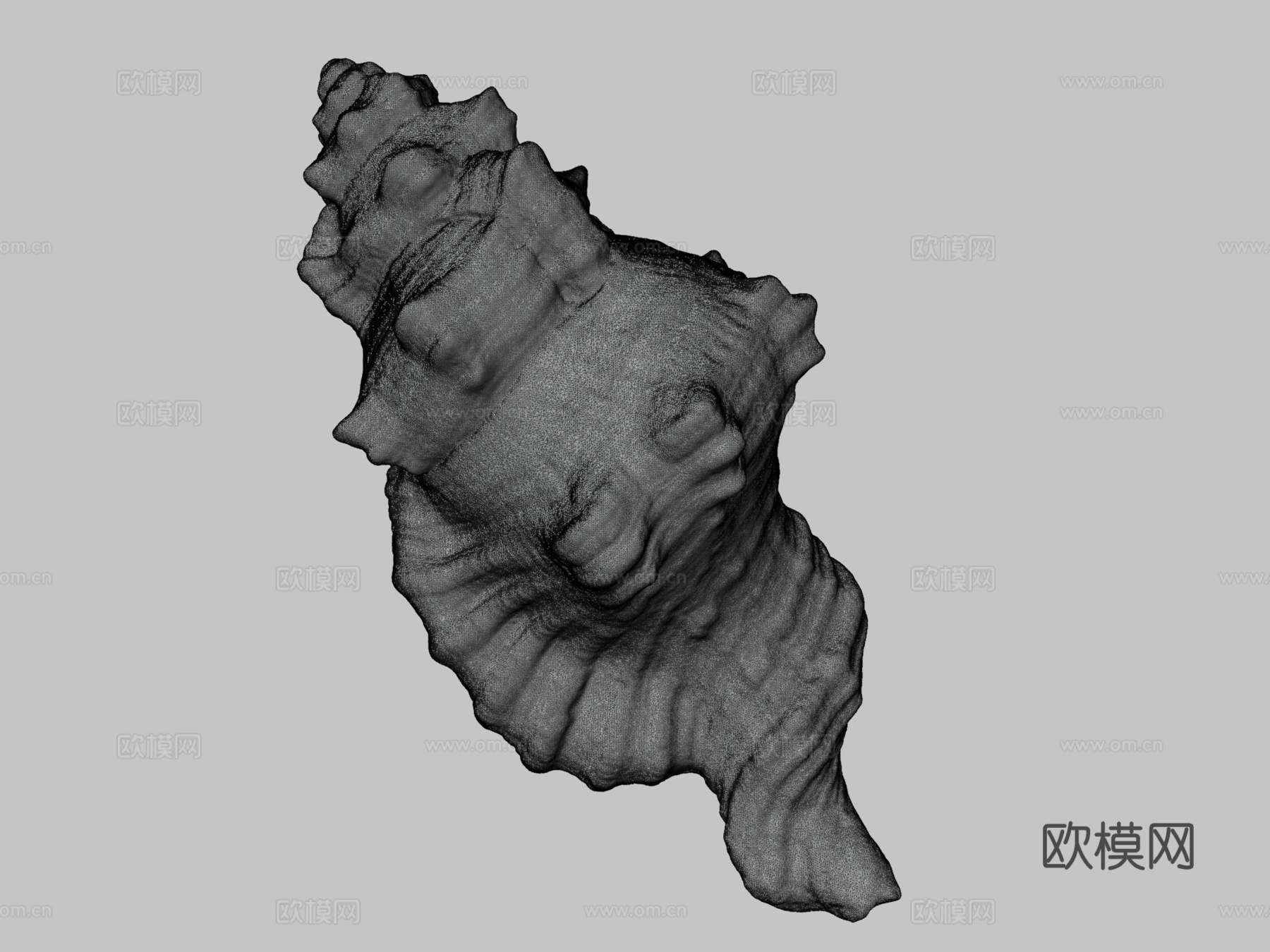 黑斑法螺壳su模型下载（渲染图3）