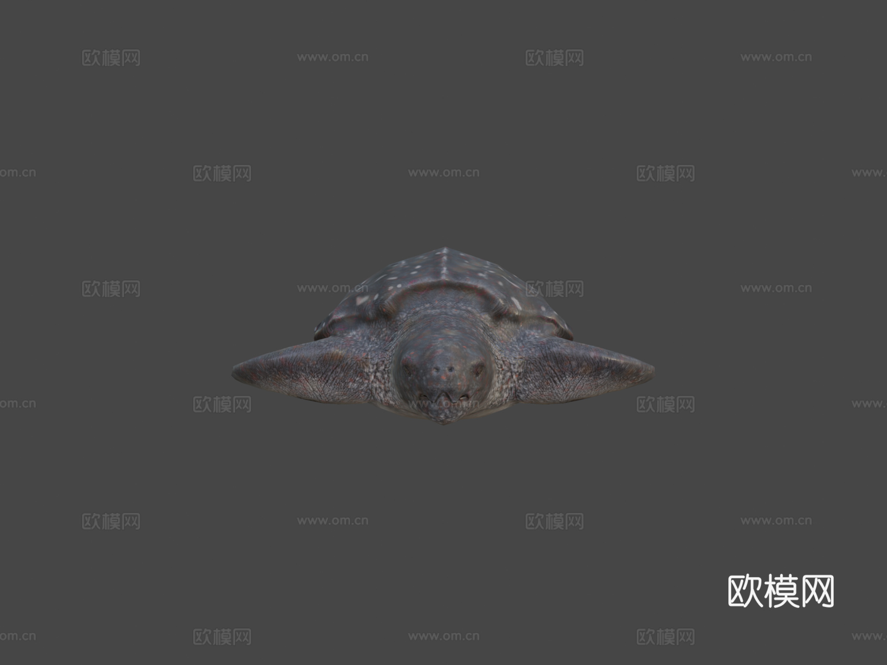 棱皮海龟su模型下载（渲染图5）