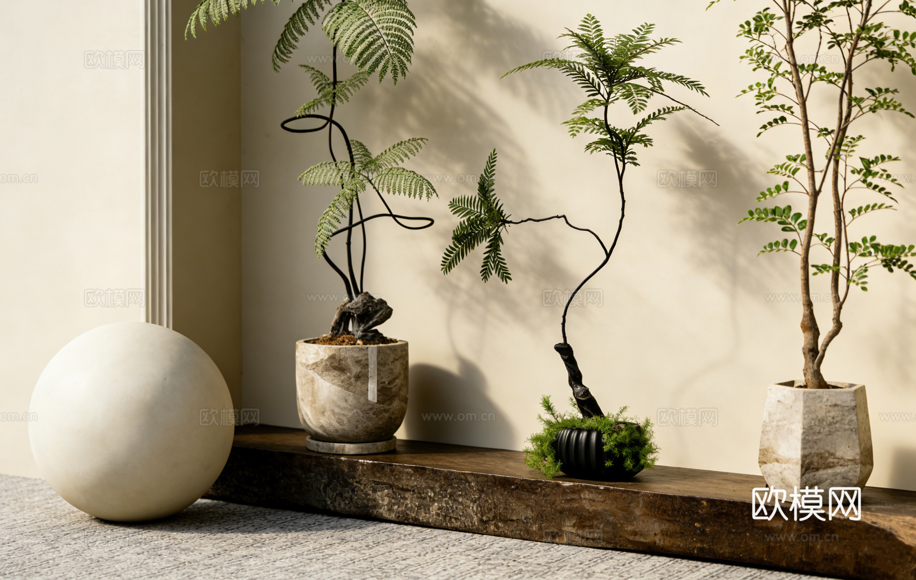 侘寂风日式简约盆栽绿植 木质台 多款陶盆蕨类 植物造景 拱形su模型下载（渲染图3）