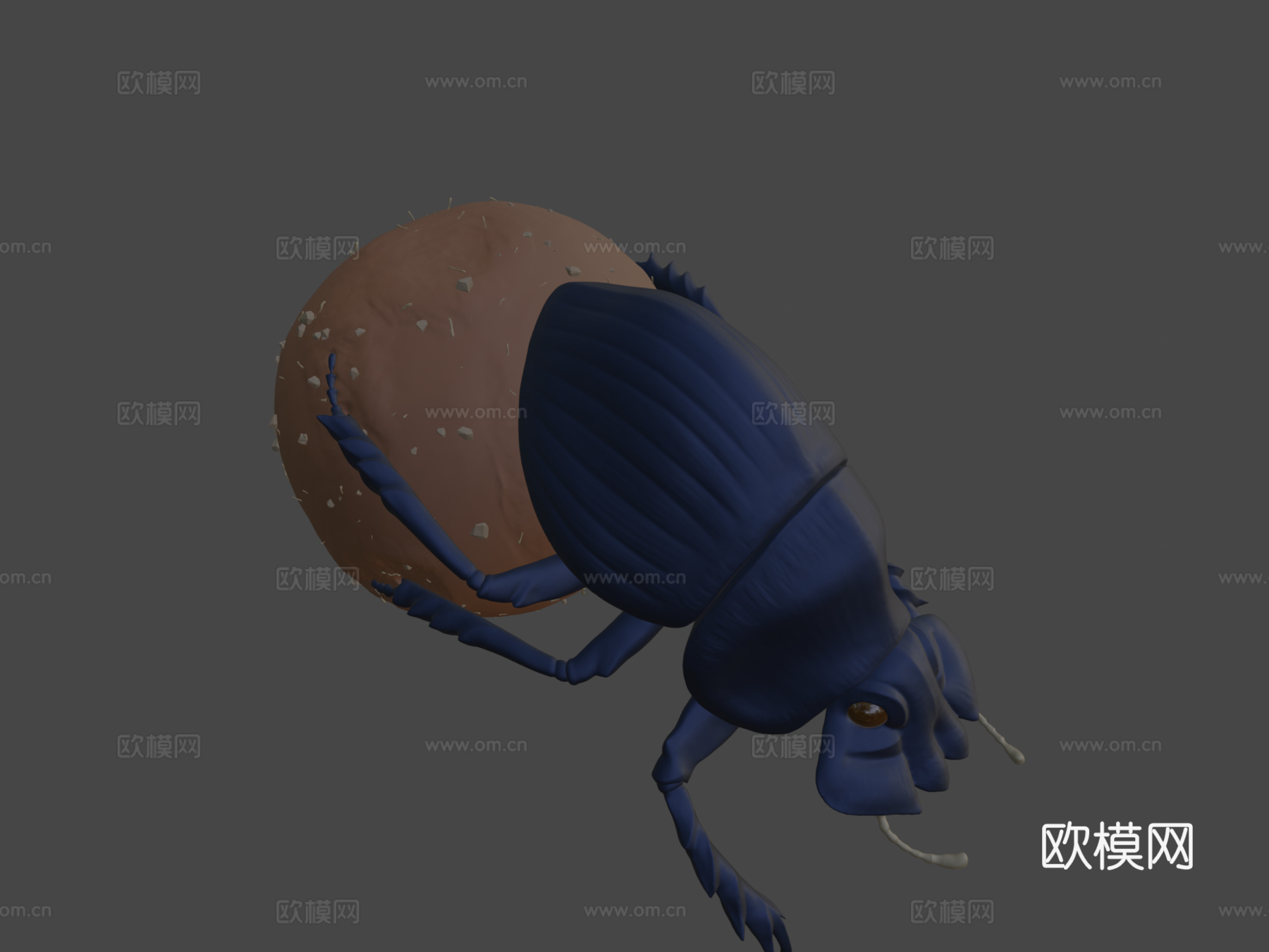 滚粪球圣约翰日第11天su模型