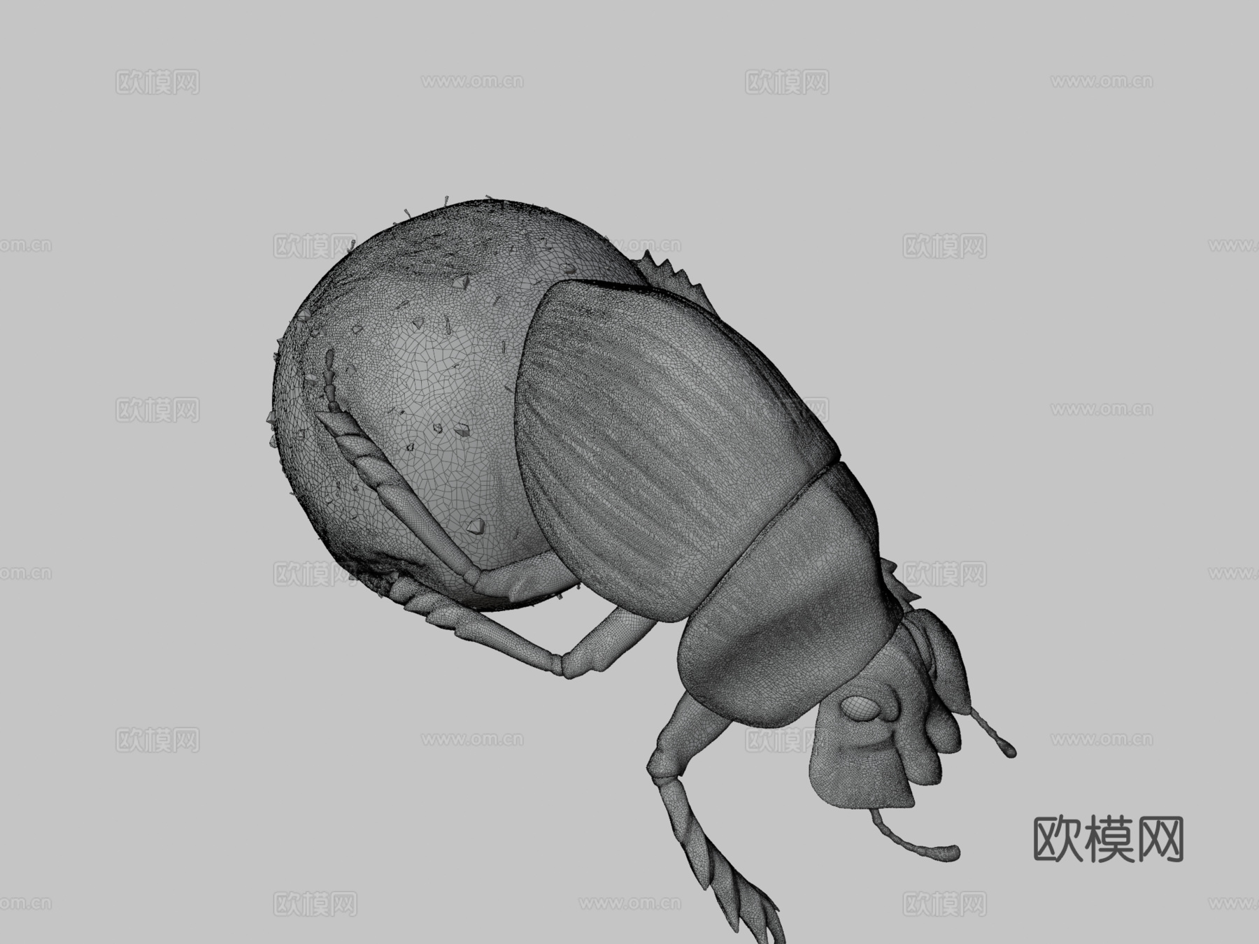 滚粪球圣约翰日第11天su模型