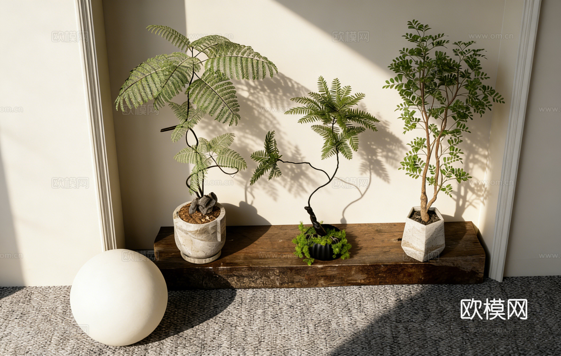 侘寂风日式简约盆栽绿植 木质台 多款陶盆蕨类 植物造景 拱形su模型下载（渲染图2）