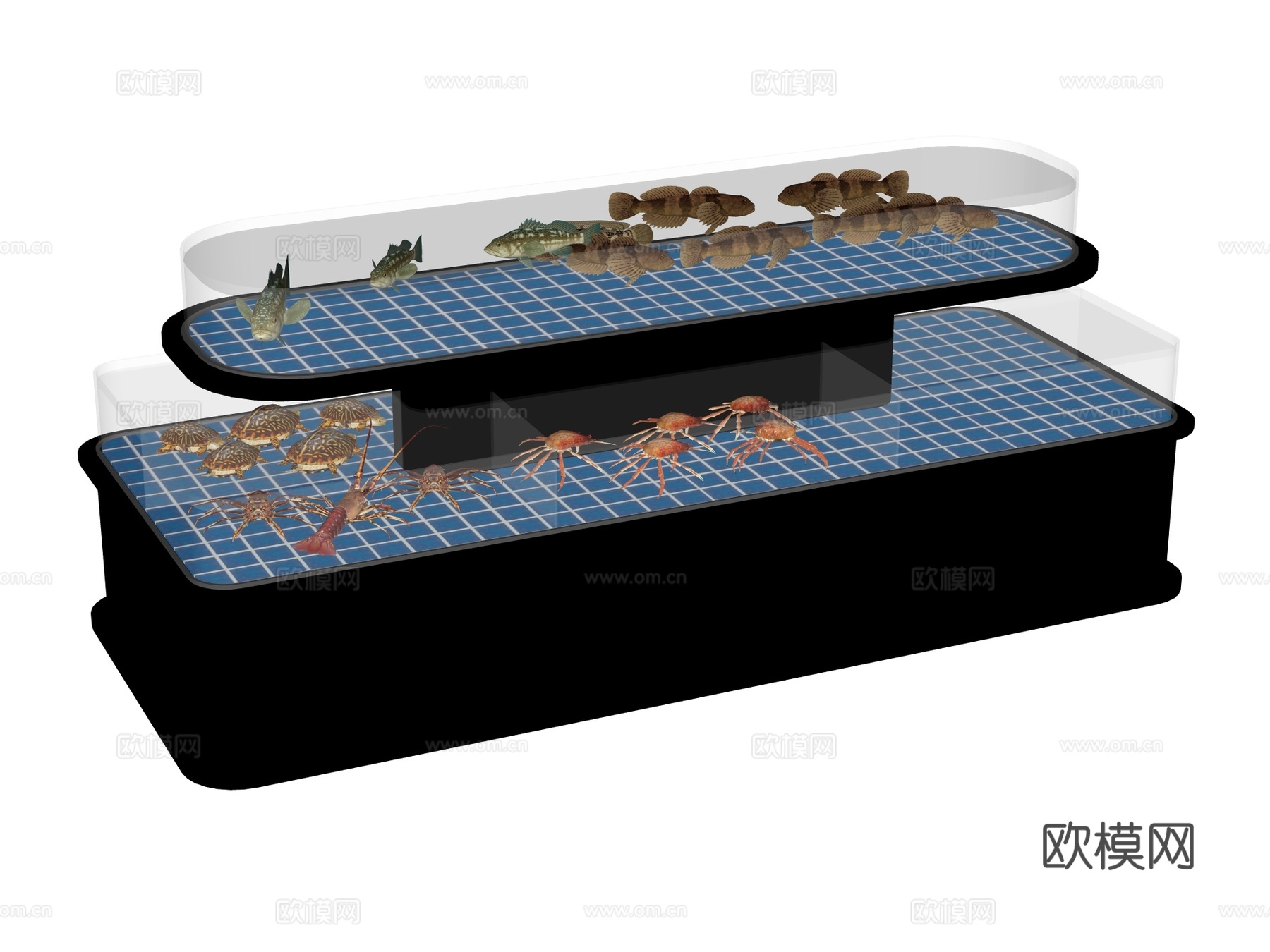 鱼池 海鲜池su模型下载（渲染图2）
