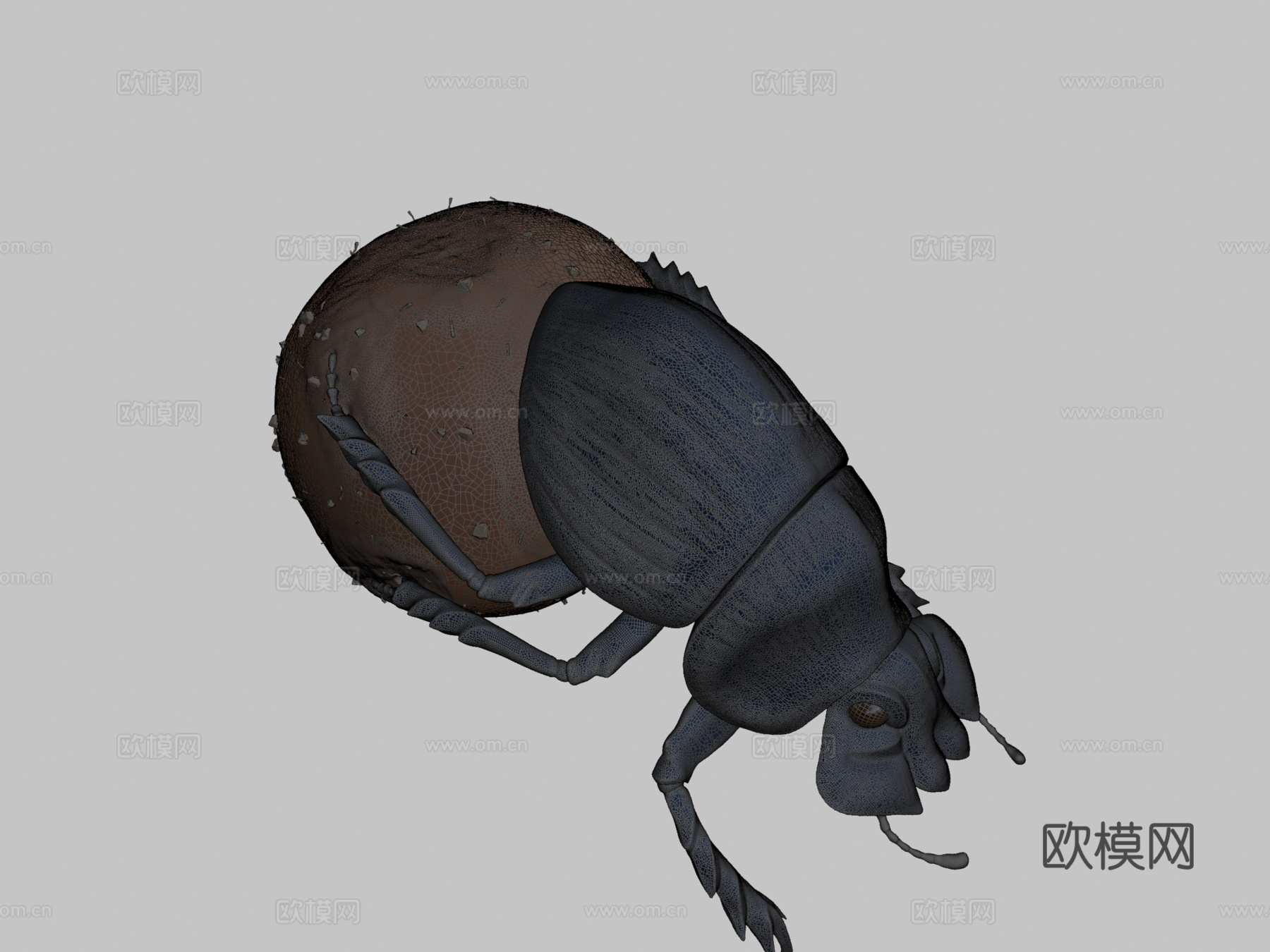 滚粪球圣约翰日第11天su模型