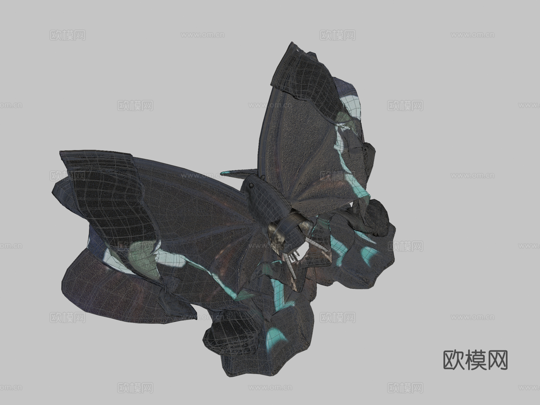 绿带翠凤蝶su模型下载（渲染图2）