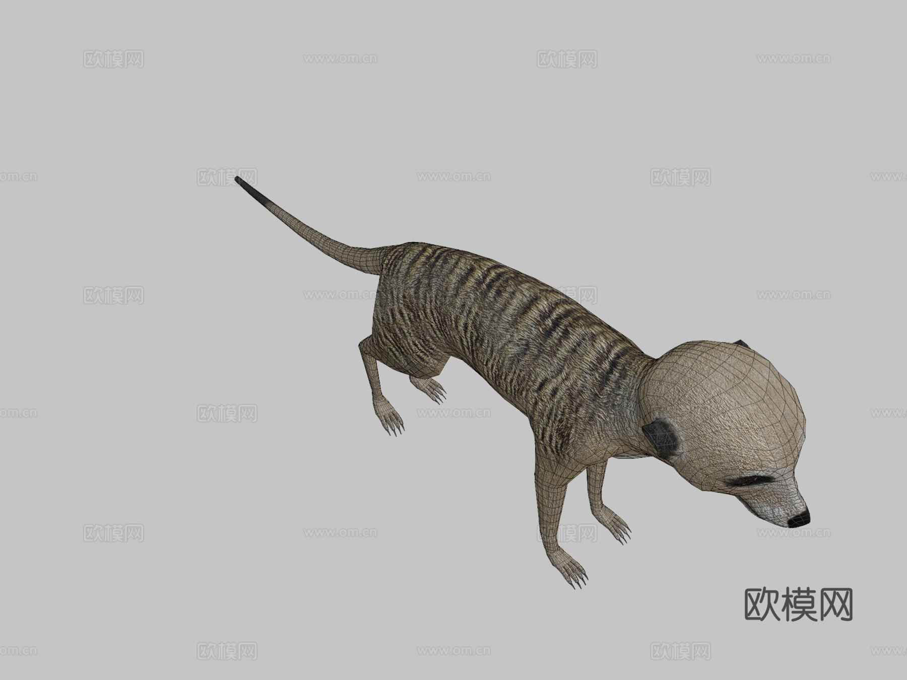 猫鼬su模型下载（渲染图2）