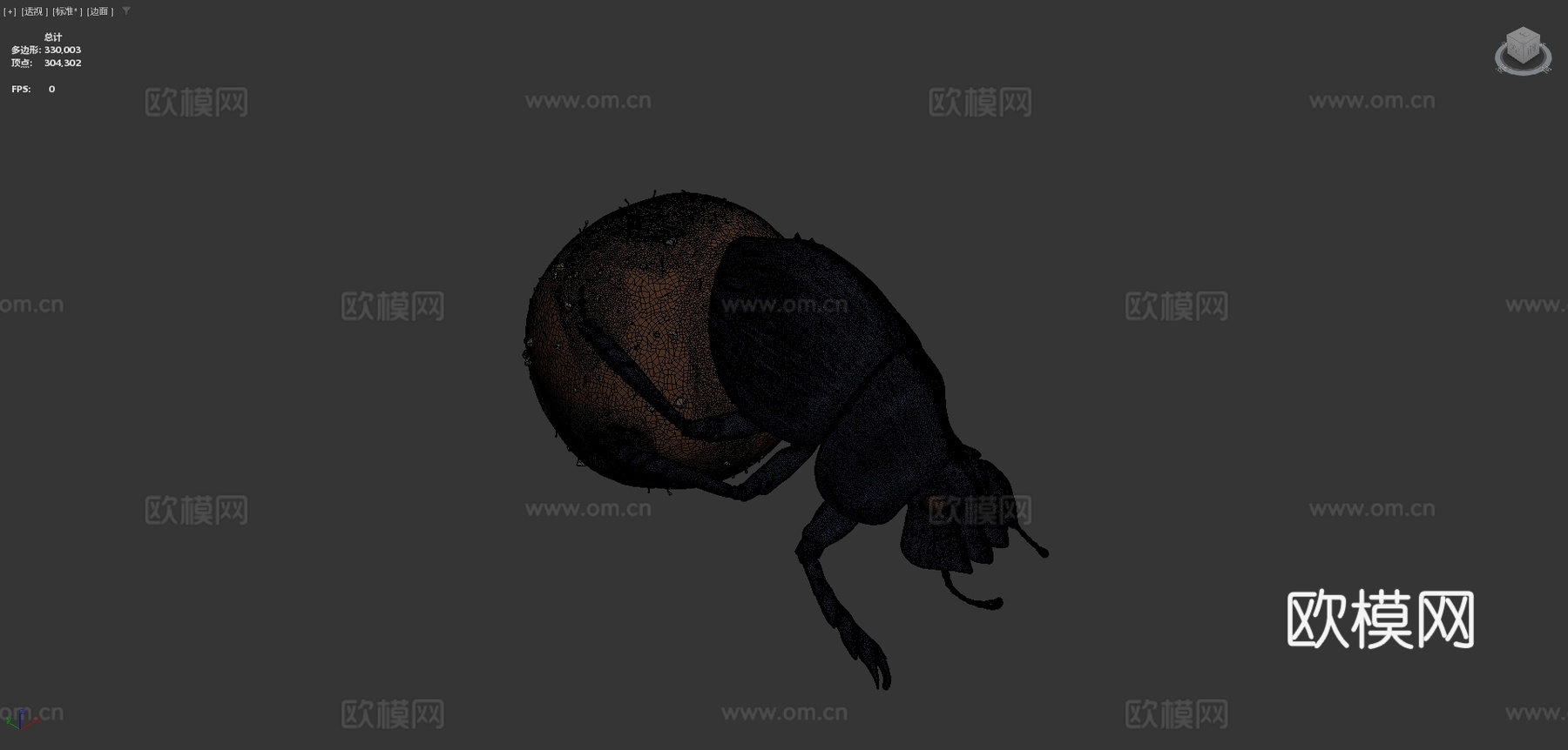 滚粪球圣约翰日第11天su模型