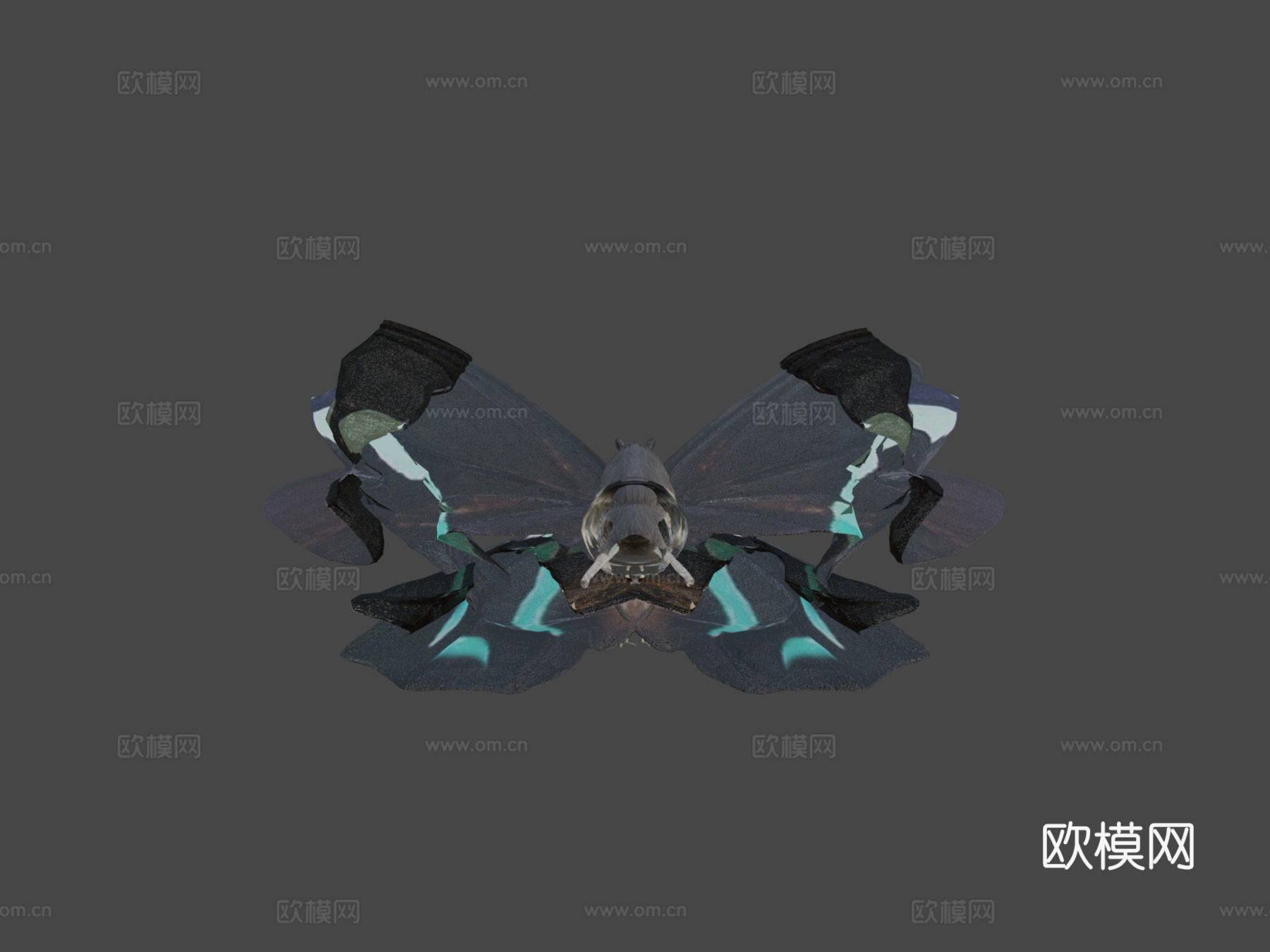 绿带翠凤蝶su模型下载（渲染图6）