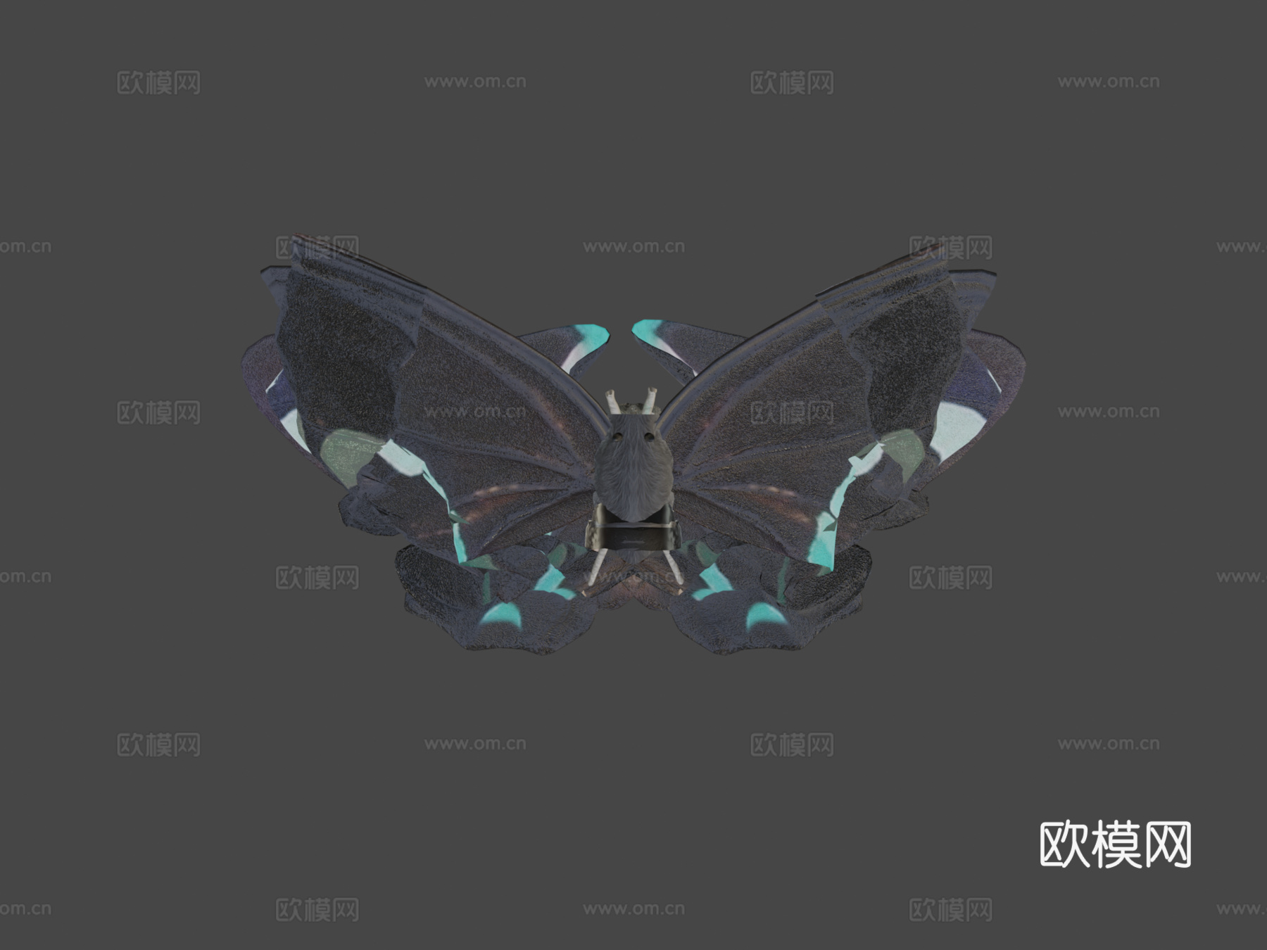绿带翠凤蝶su模型下载（渲染图7）