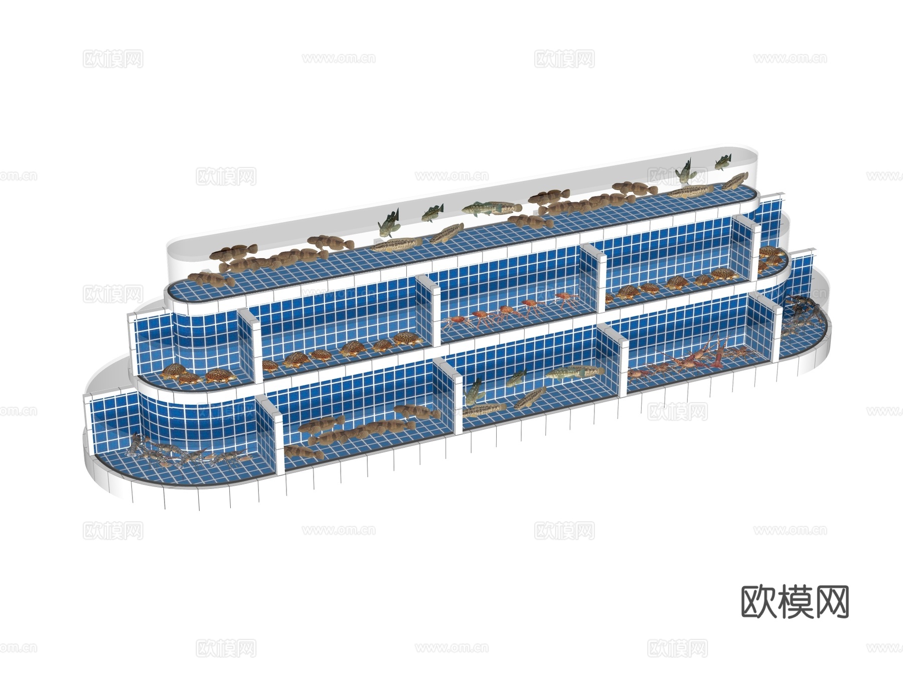 鱼池 海鲜池su模型下载（渲染图2）