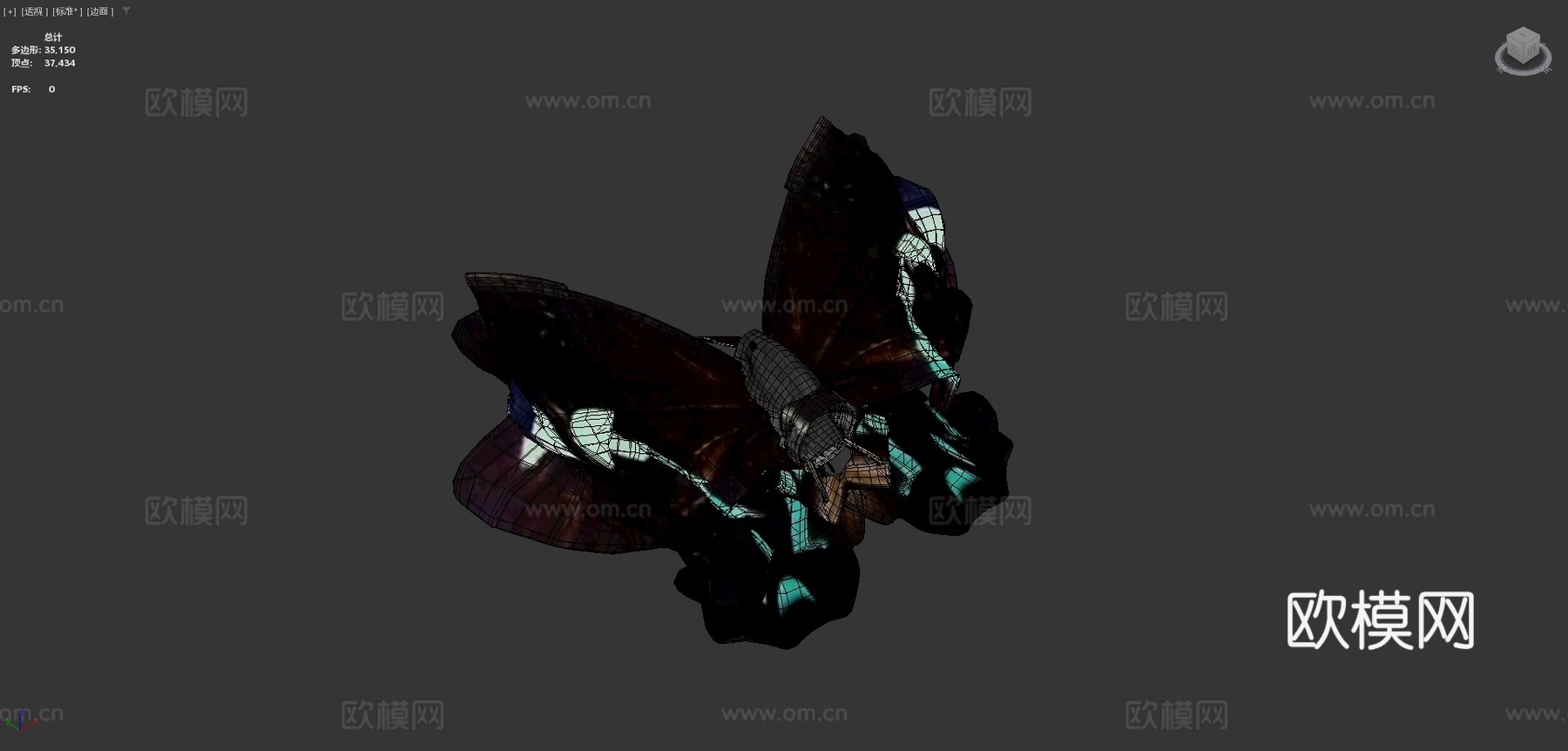 绿带翠凤蝶su模型下载（渲染图4）