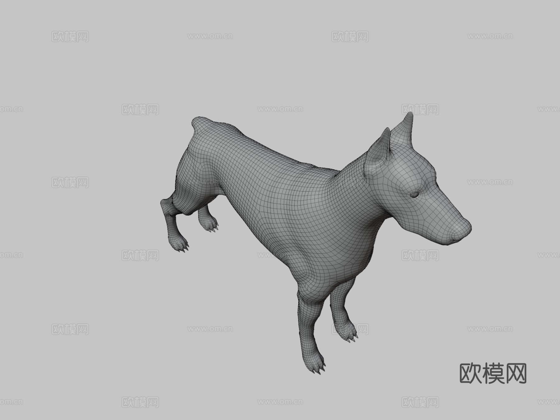 杜宾犬su模型下载（渲染图3）