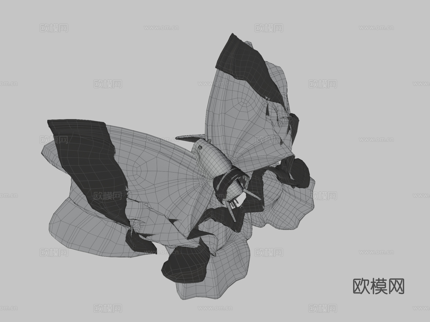 绿带翠凤蝶su模型下载（渲染图3）