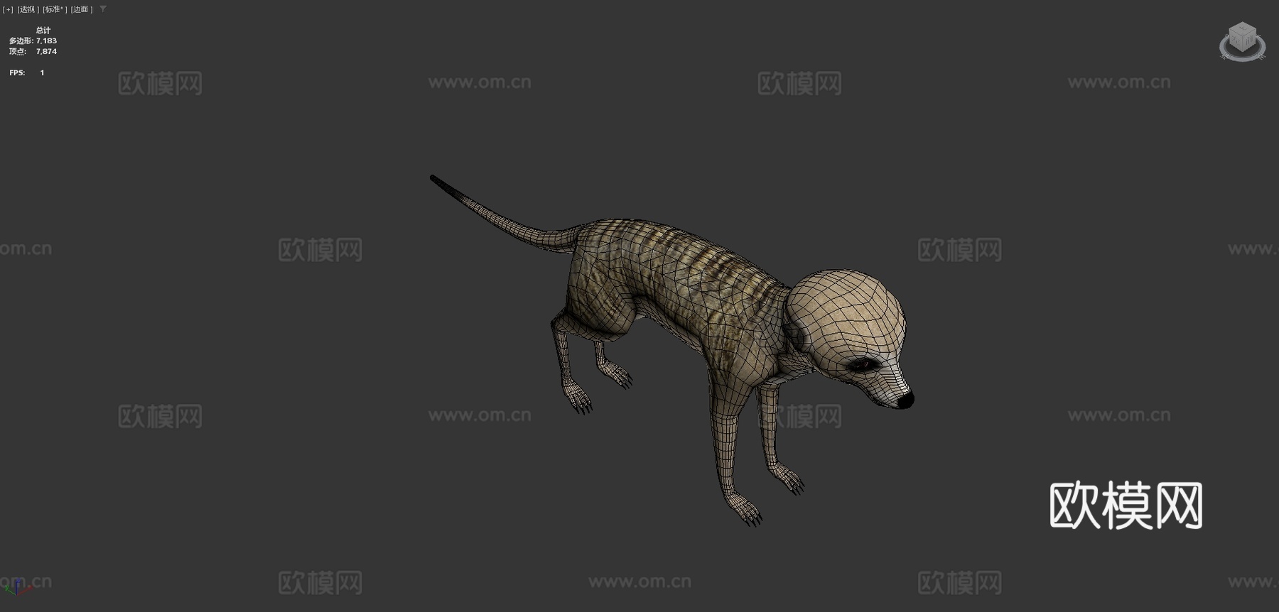 猫鼬su模型下载（渲染图4）