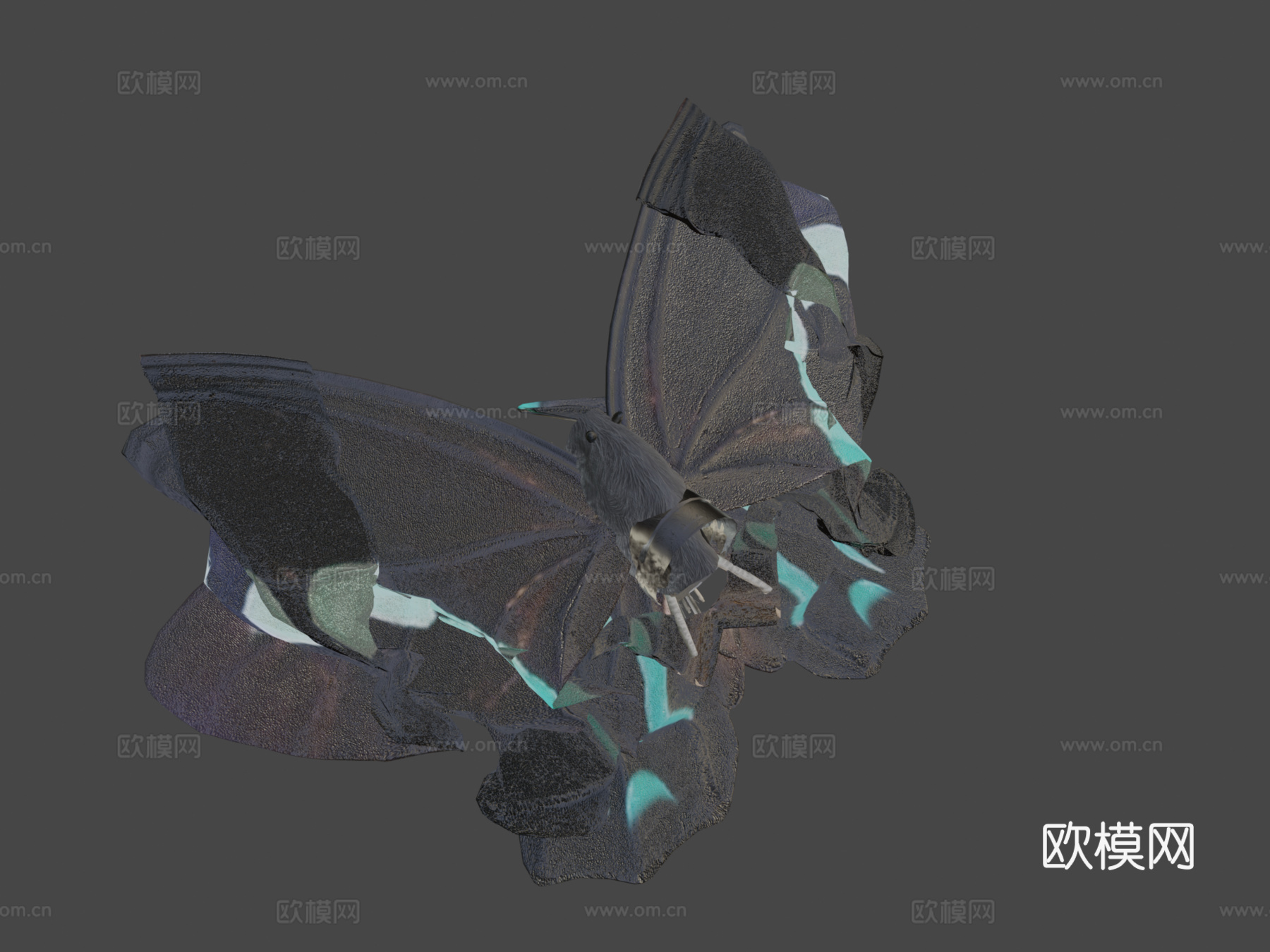 绿带翠凤蝶su模型下载（渲染图8）