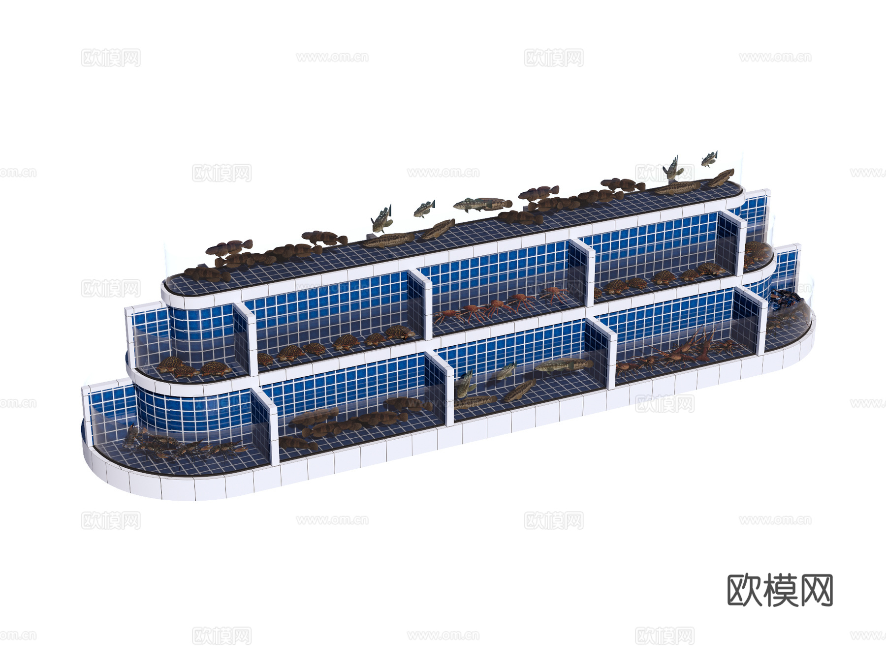 鱼池 海鲜池su模型下载（渲染图1）