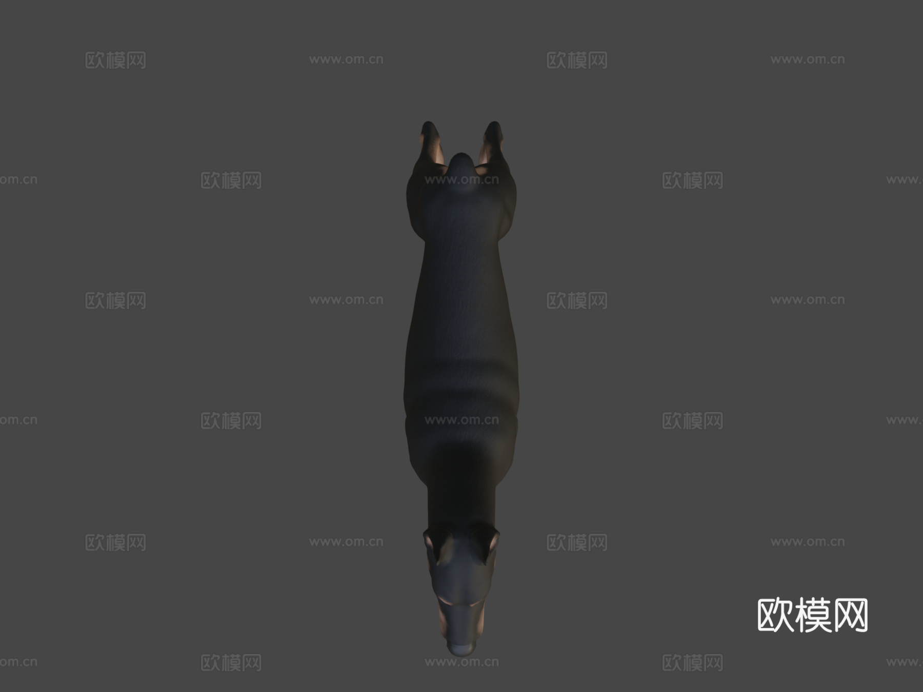 杜宾犬su模型下载（渲染图6）