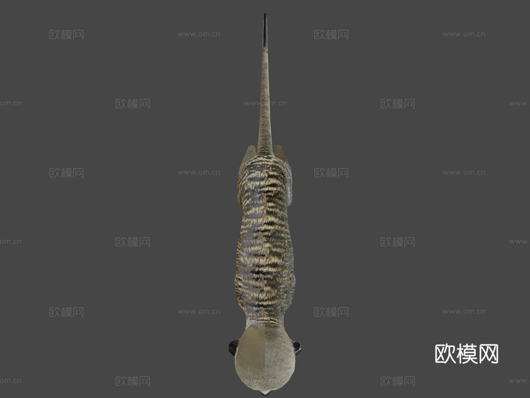 猫鼬su模型下载（渲染图6）