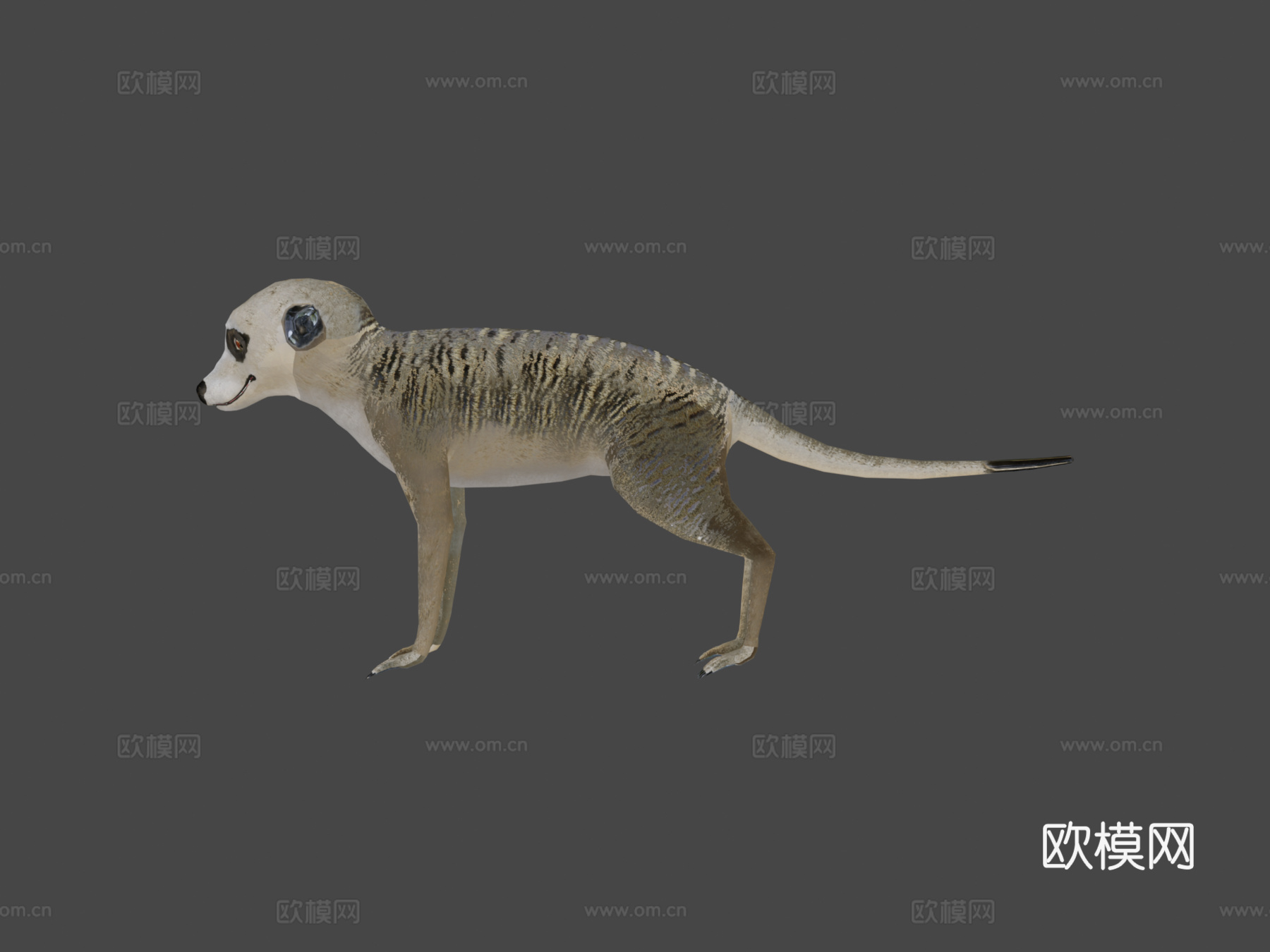 猫鼬su模型下载（渲染图7）