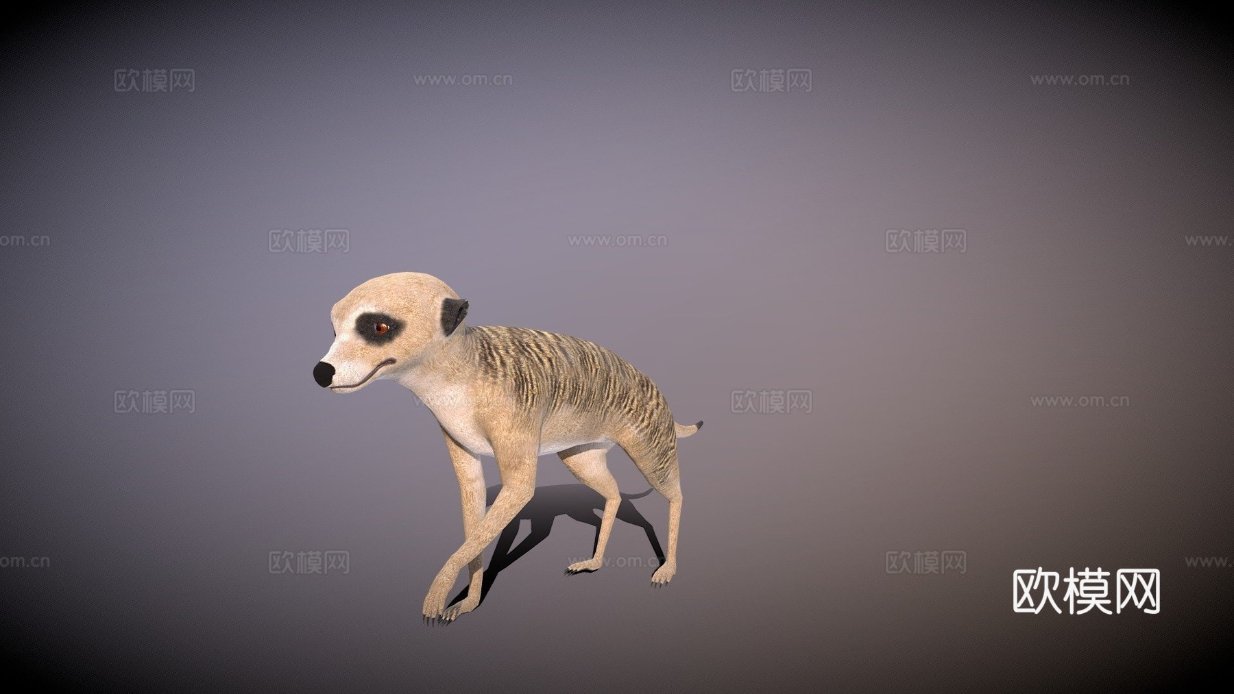猫鼬su模型下载（渲染图1）