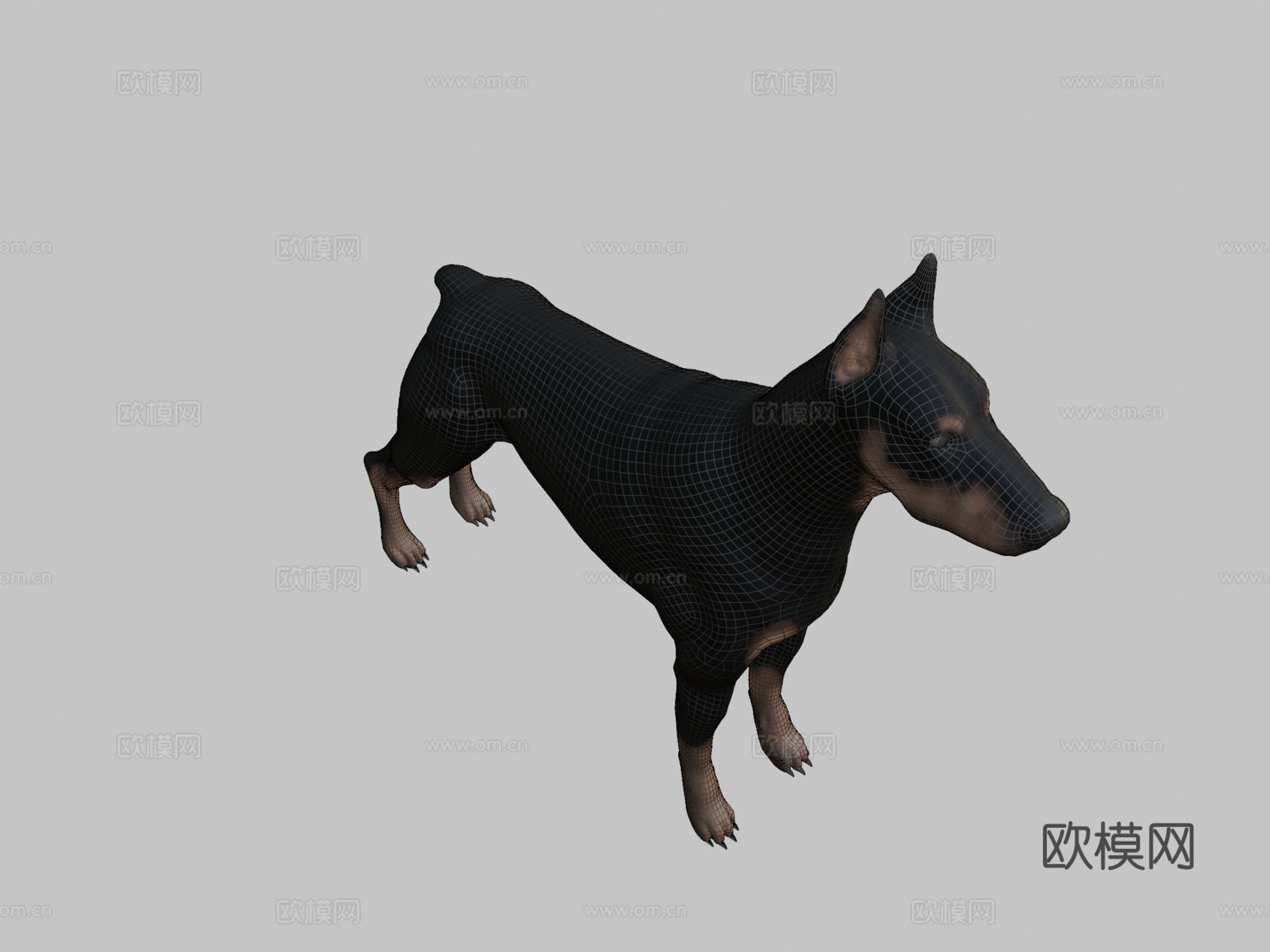 杜宾犬su模型下载（渲染图2）