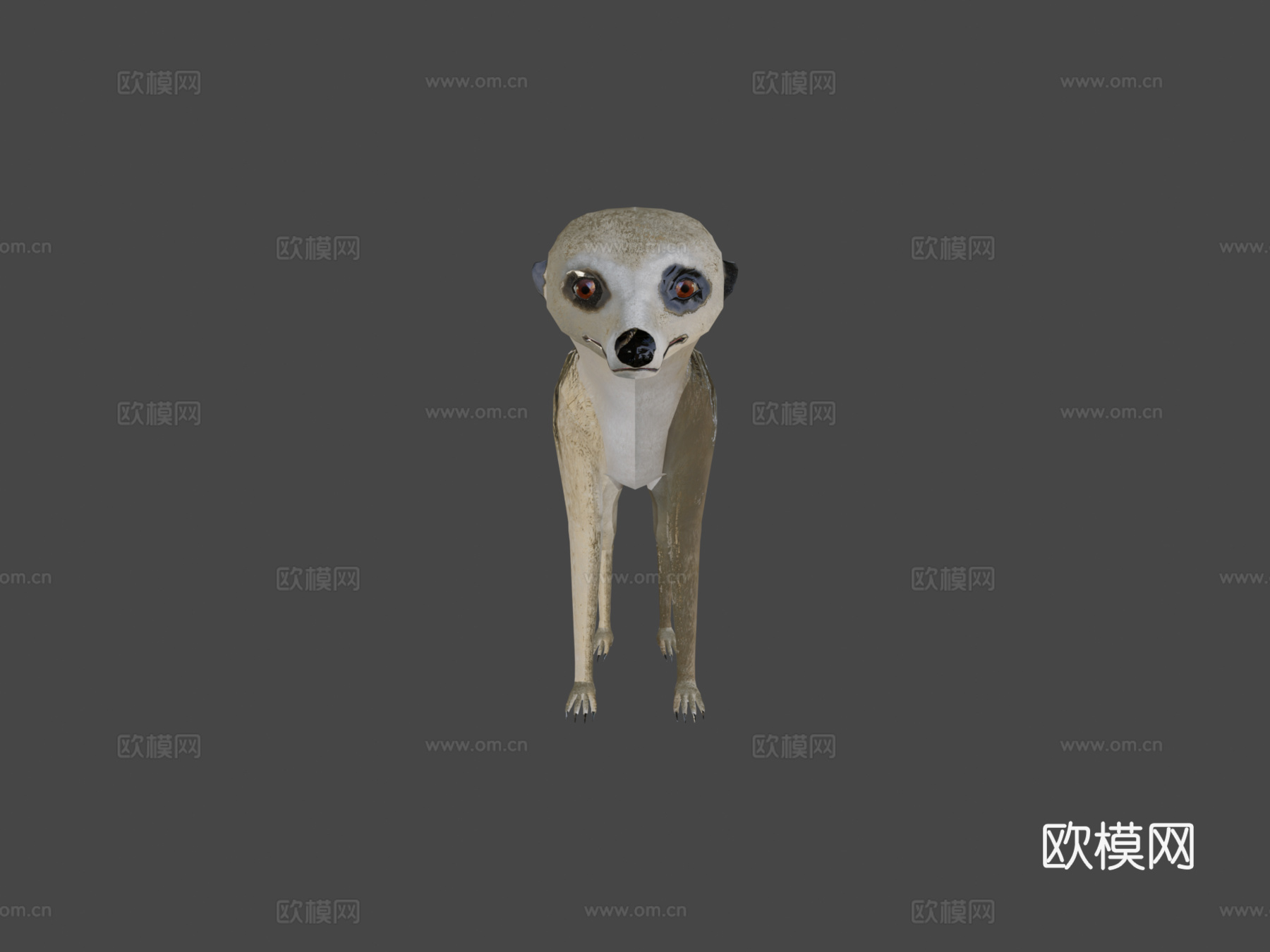 猫鼬su模型下载（渲染图5）