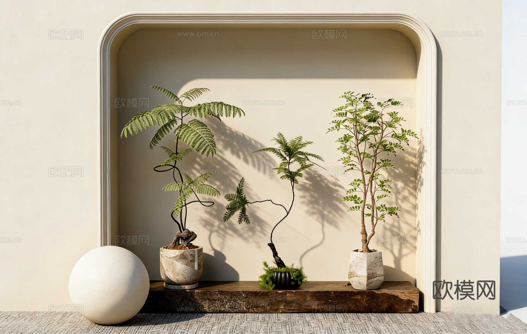 侘寂风日式简约盆栽绿植 木质台 多款陶盆蕨类 植物造景 拱形su模型下载（渲染图1）