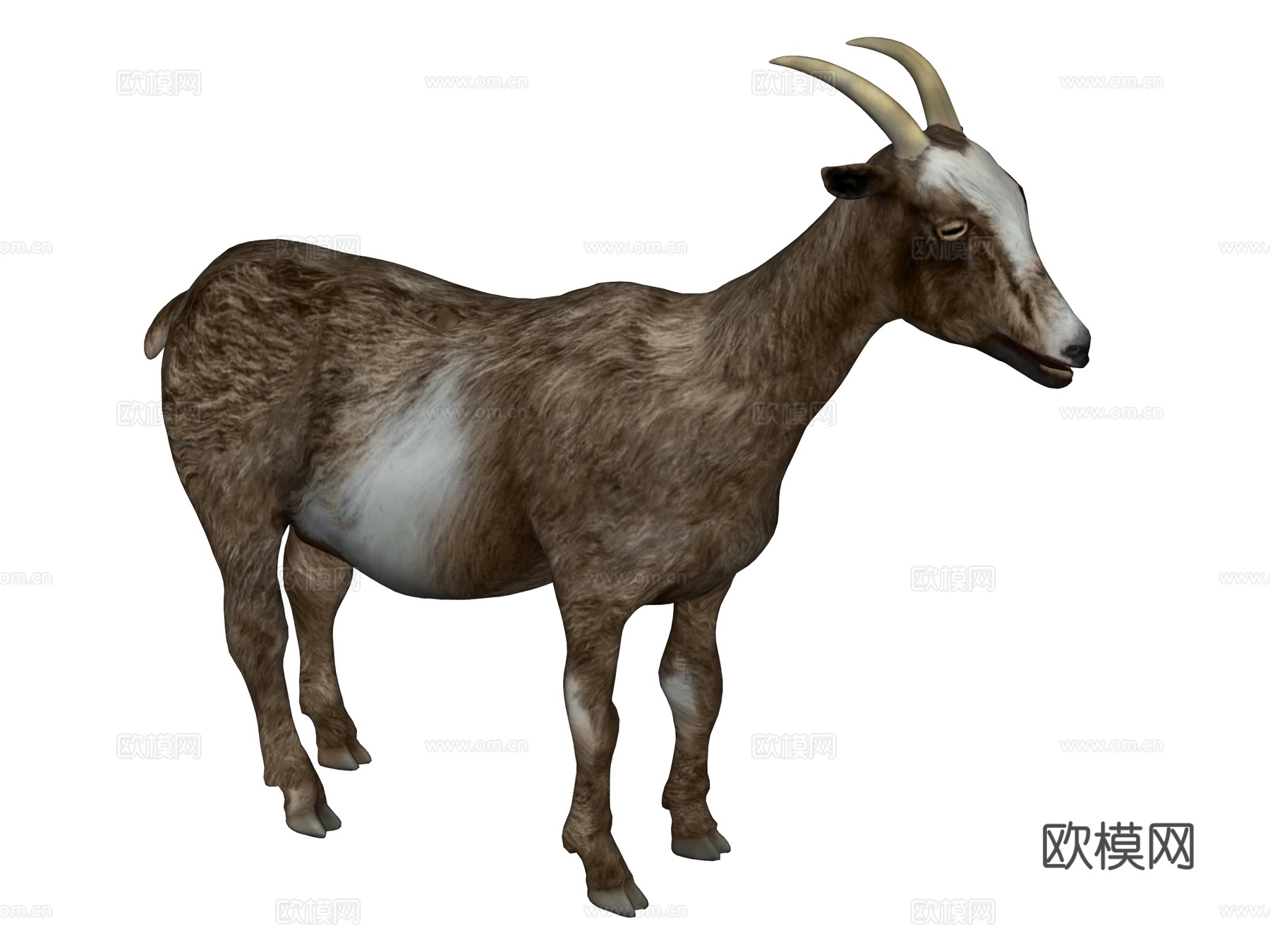羊 山羊su模型