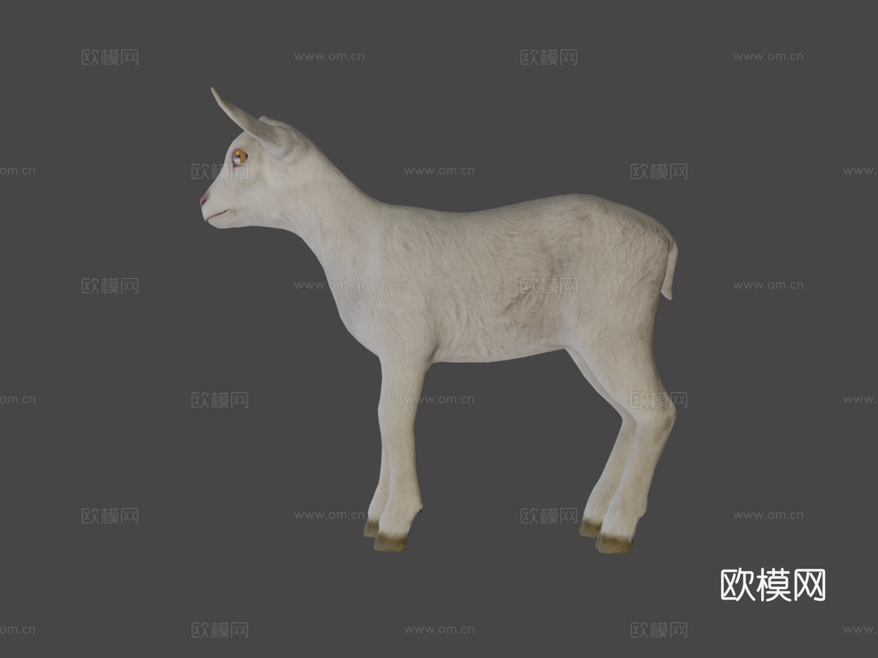 小山羊su模型