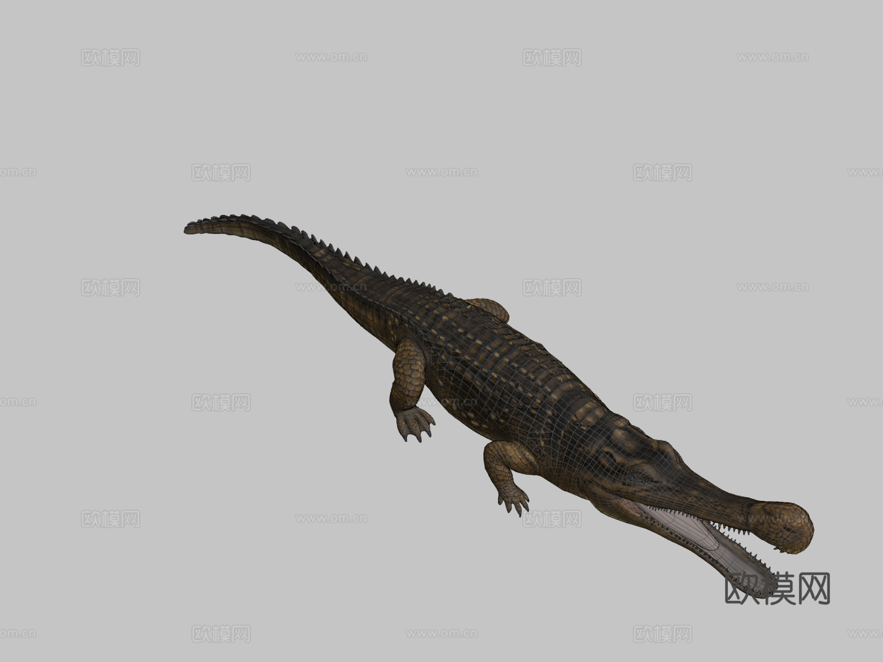 帝鳄su模型