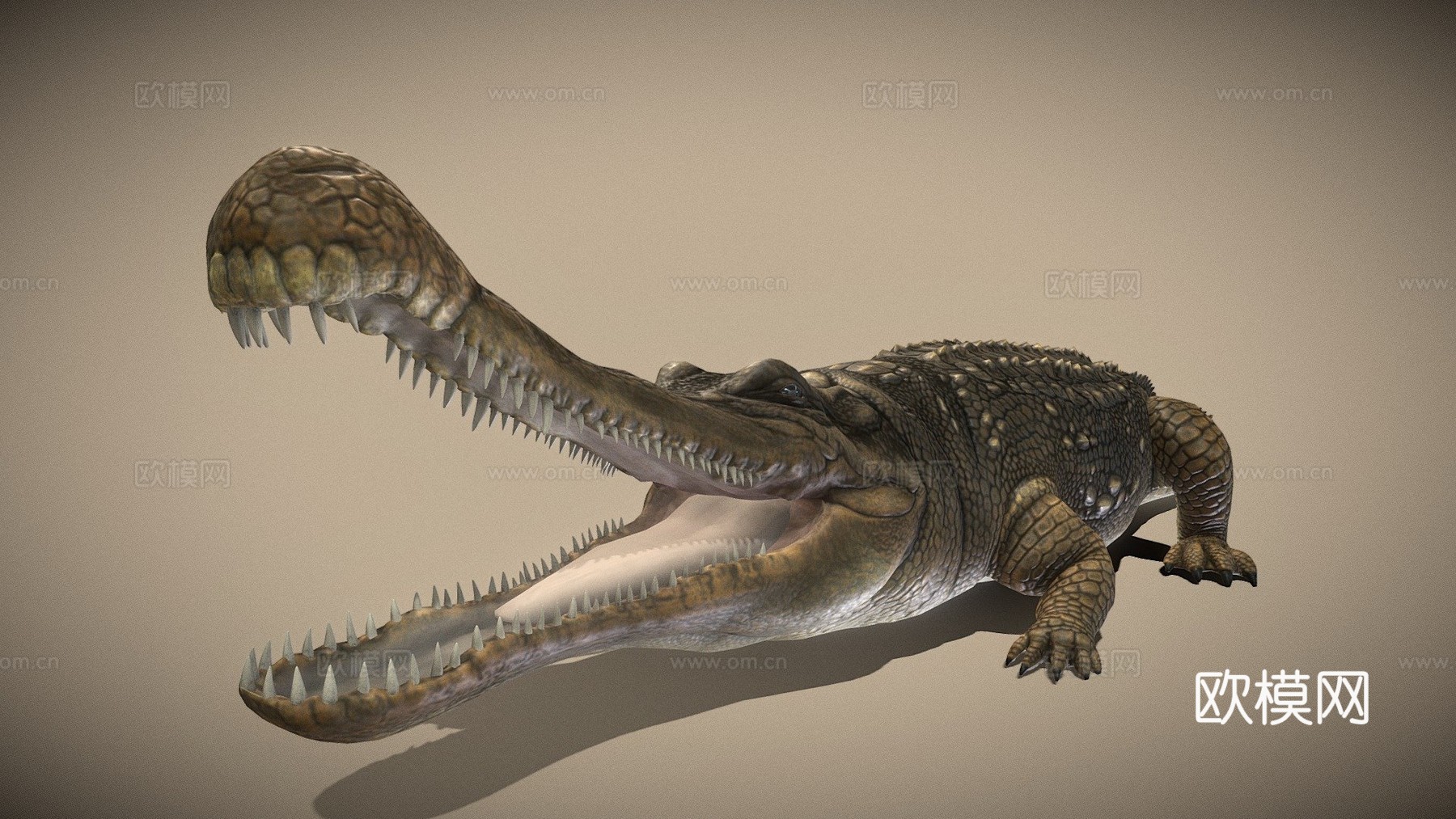 帝鳄su模型