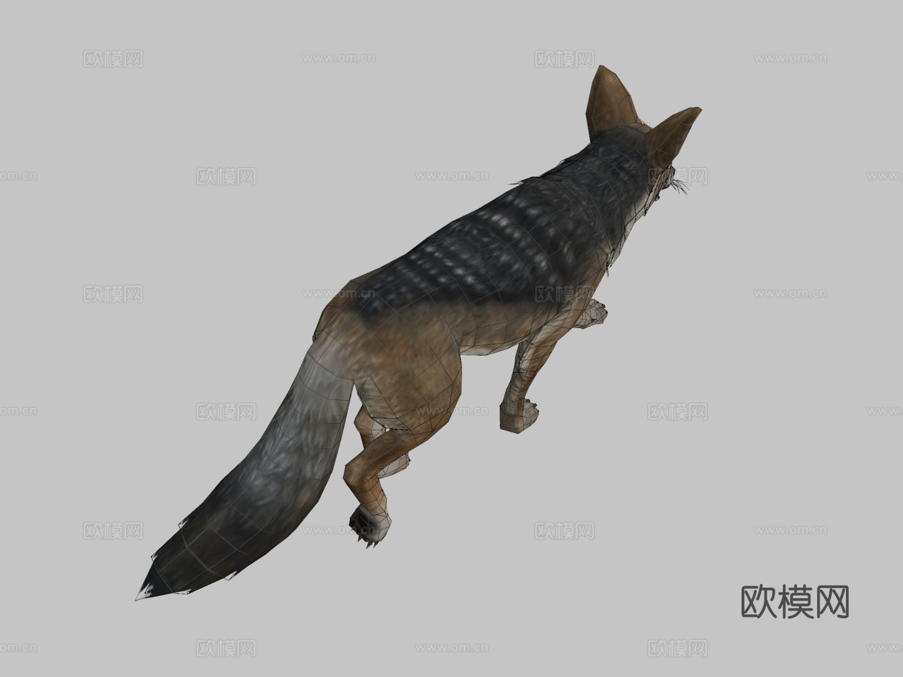 豺狼su模型