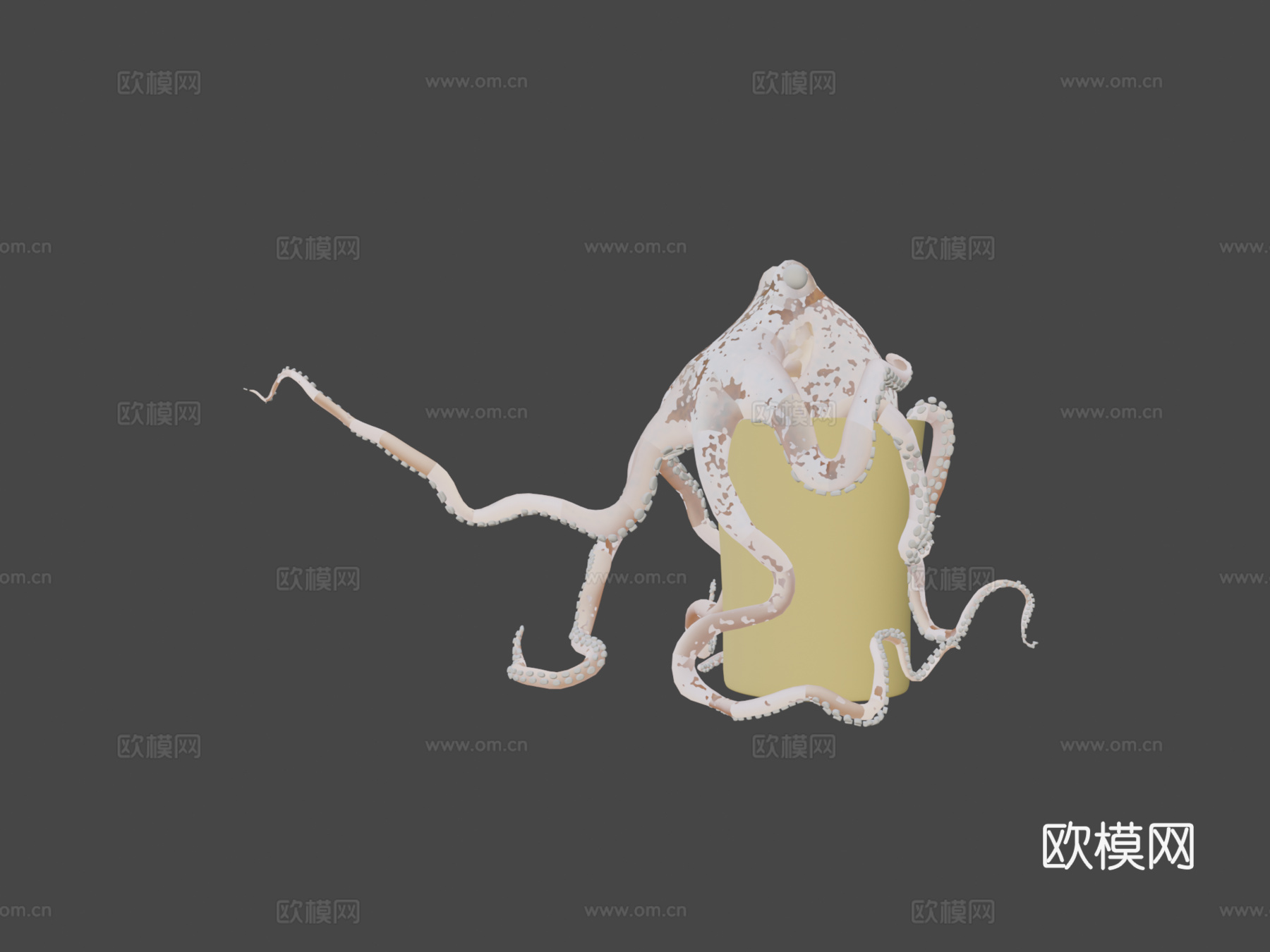 章鱼作品2su模型
