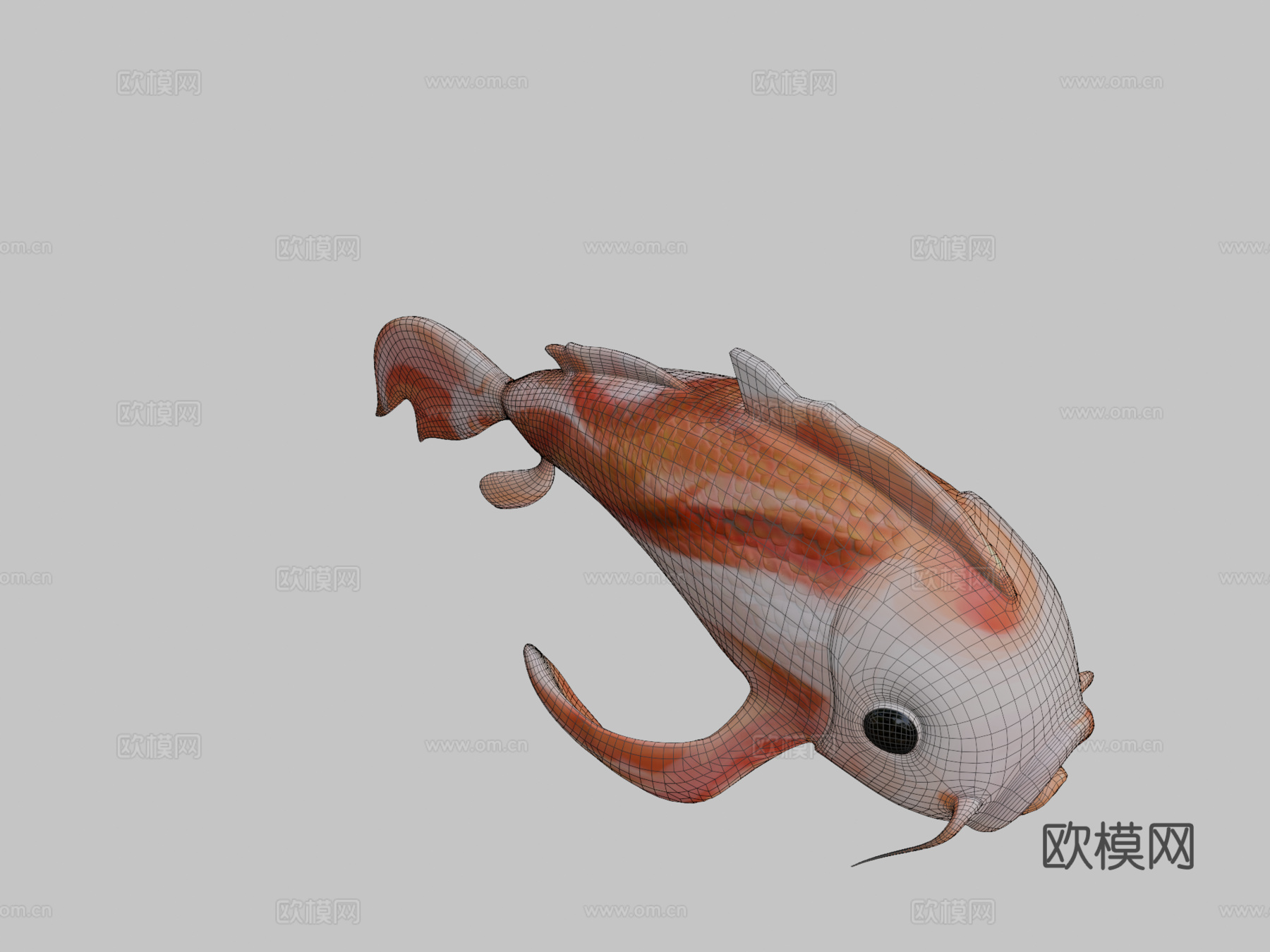 锦鲤橙色鱼su模型