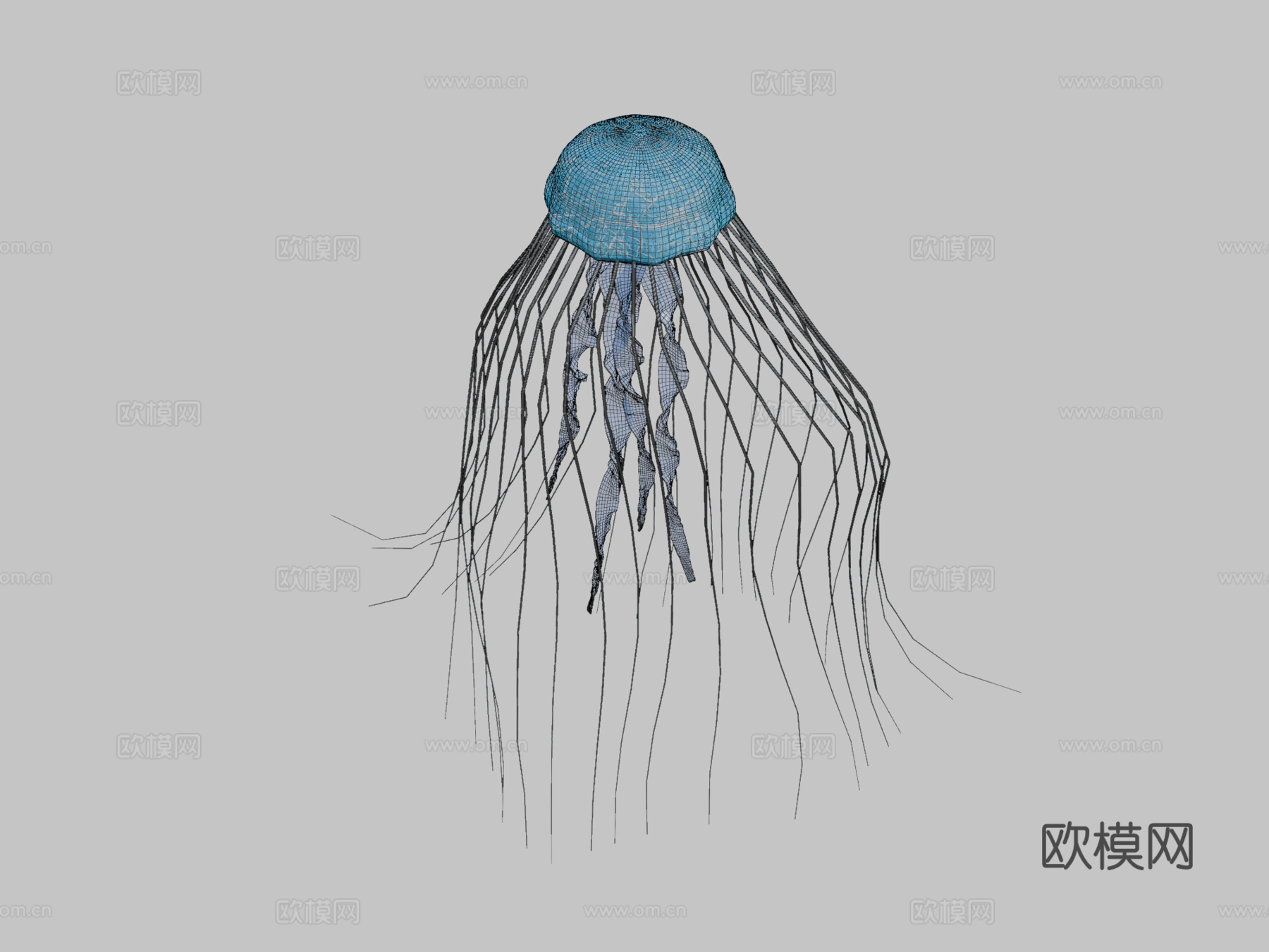 水母su模型