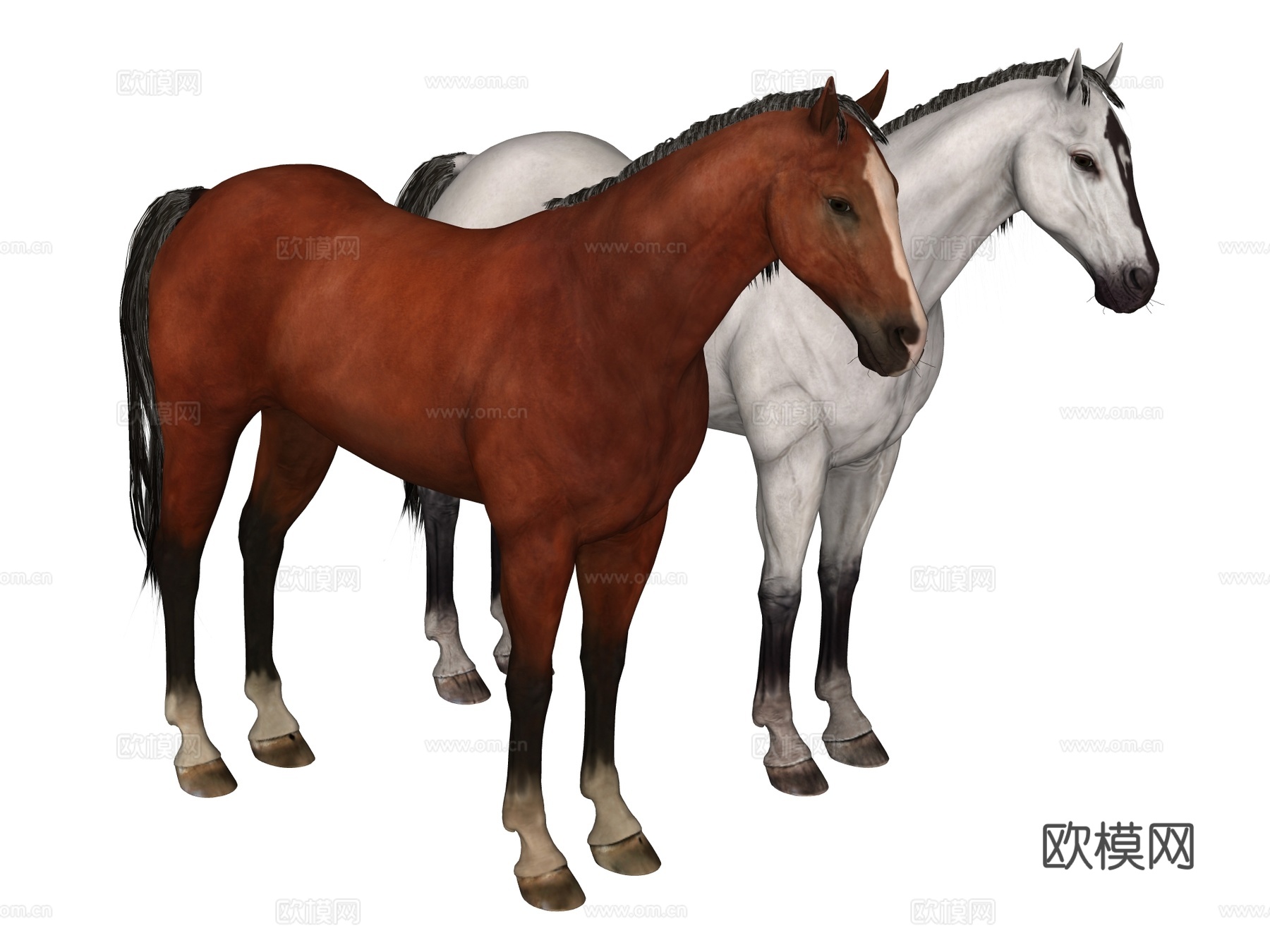 汗血马su模型