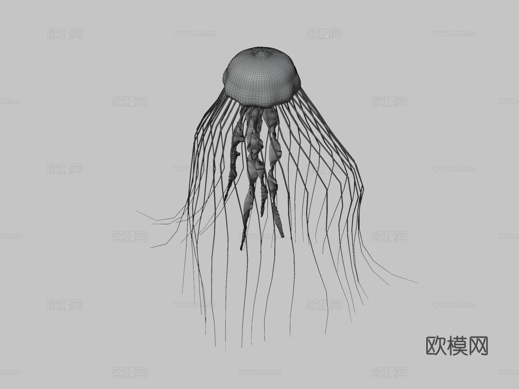 水母su模型