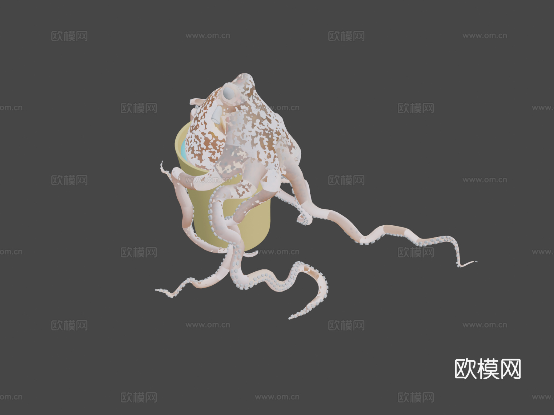 章鱼作品2su模型