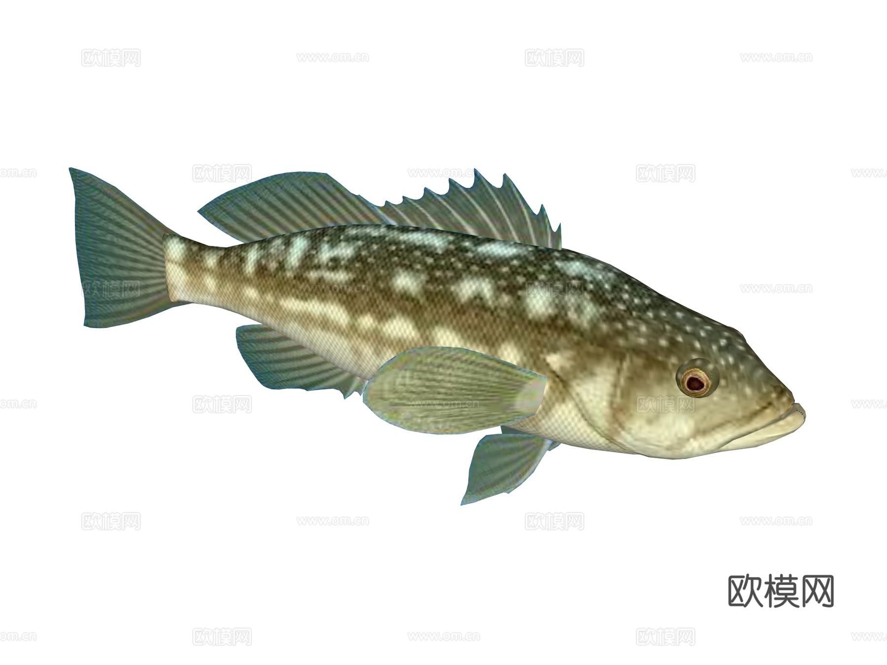 海鱼su模型