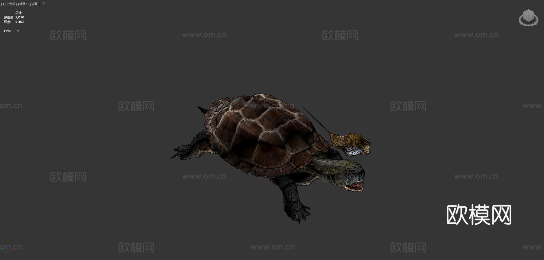 龟脸抱水虫su模型