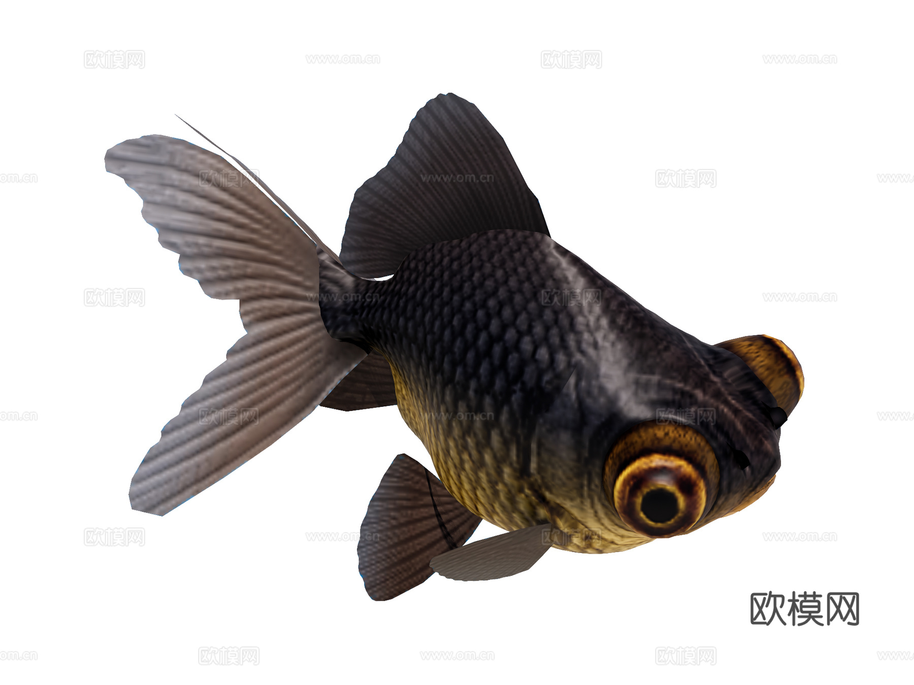 鱼 斗鱼su模型su模型