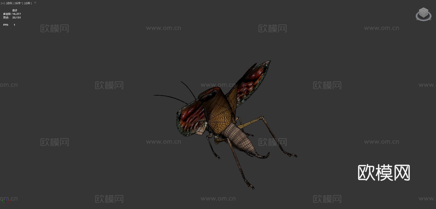 翼眼螽斯su模型